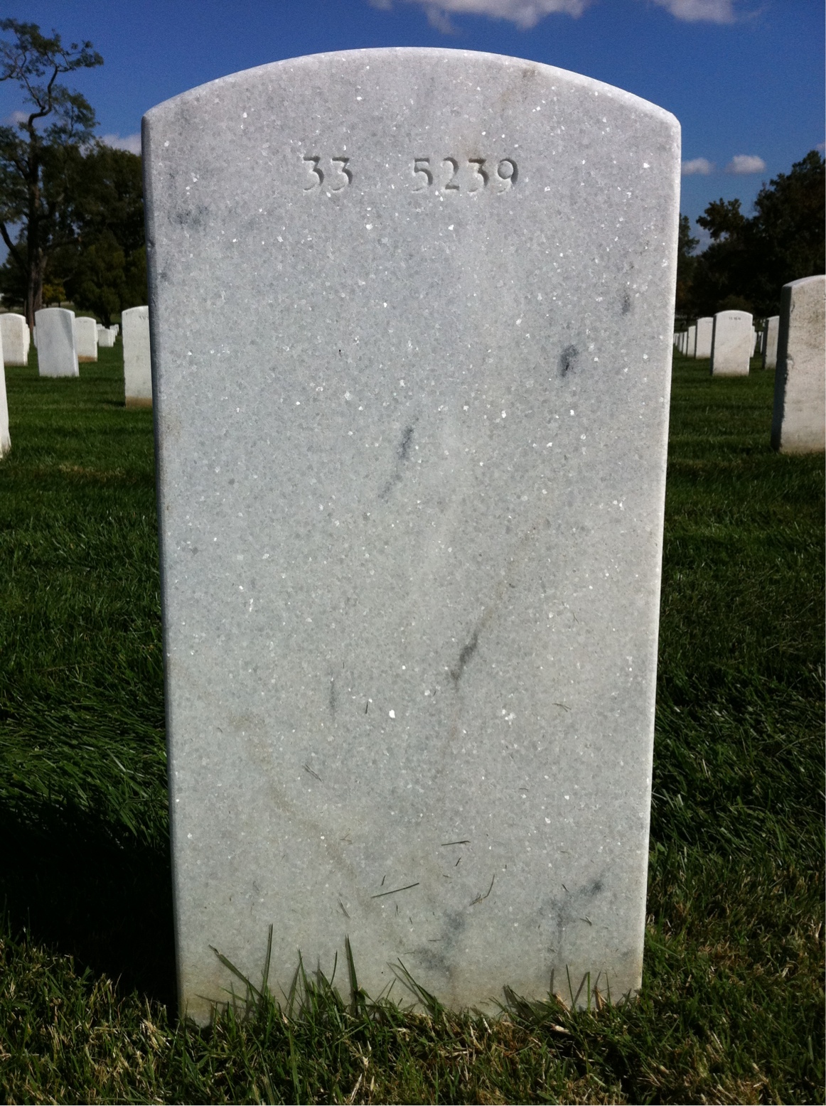 Back of headstone — Jesse Greer
