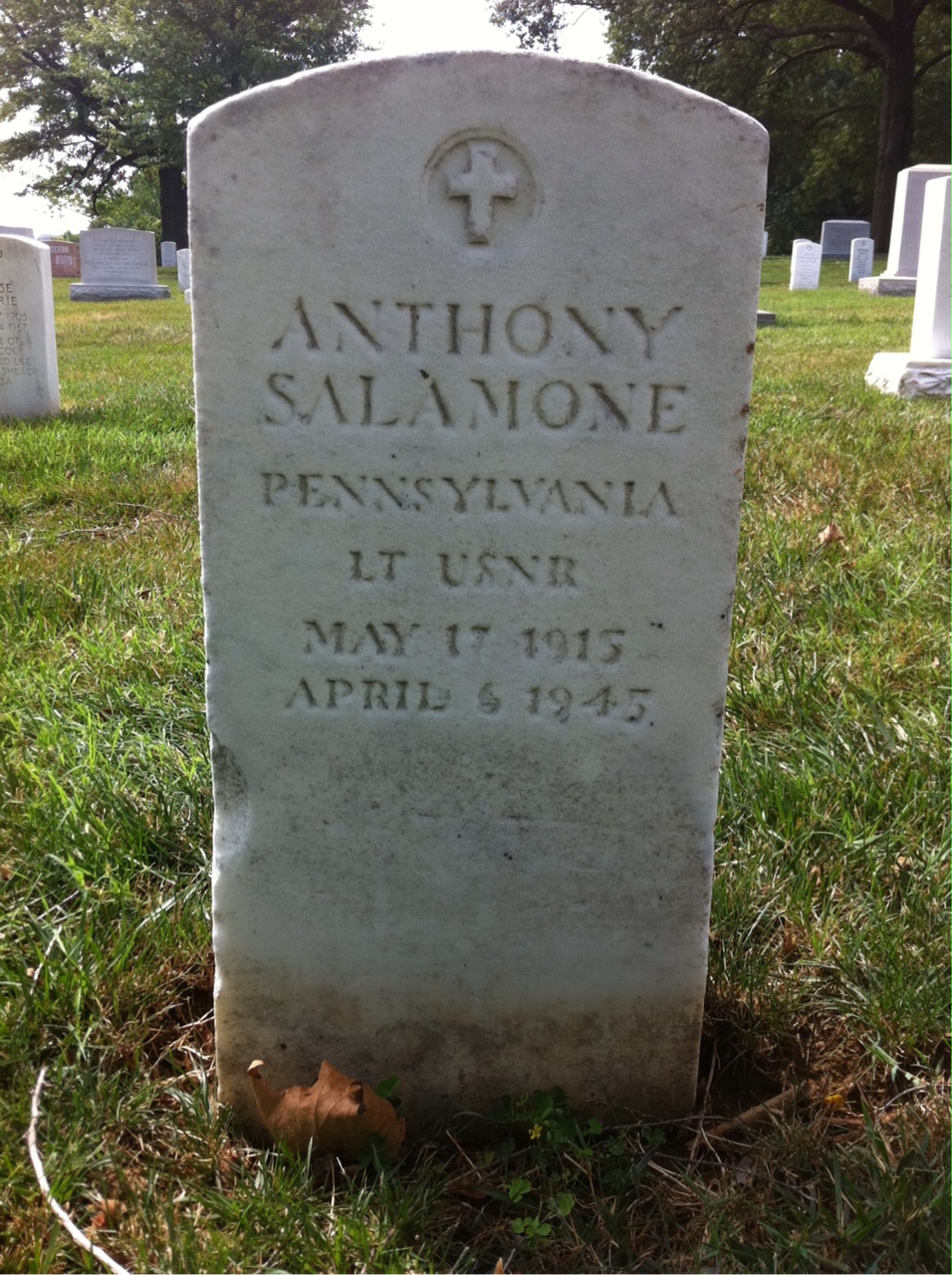 Anthony S Salamone