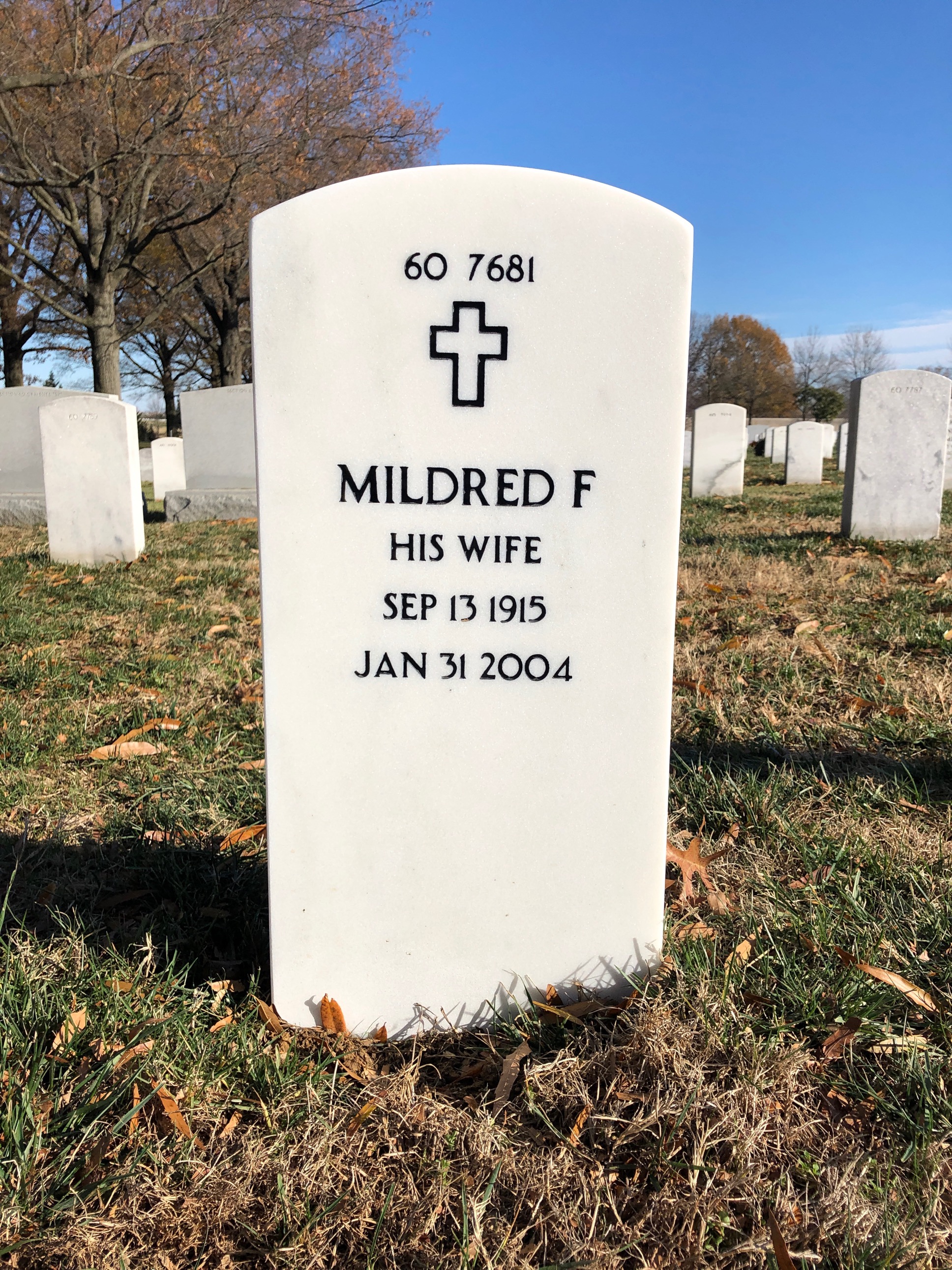 Back of headstone — Henry Meinecke