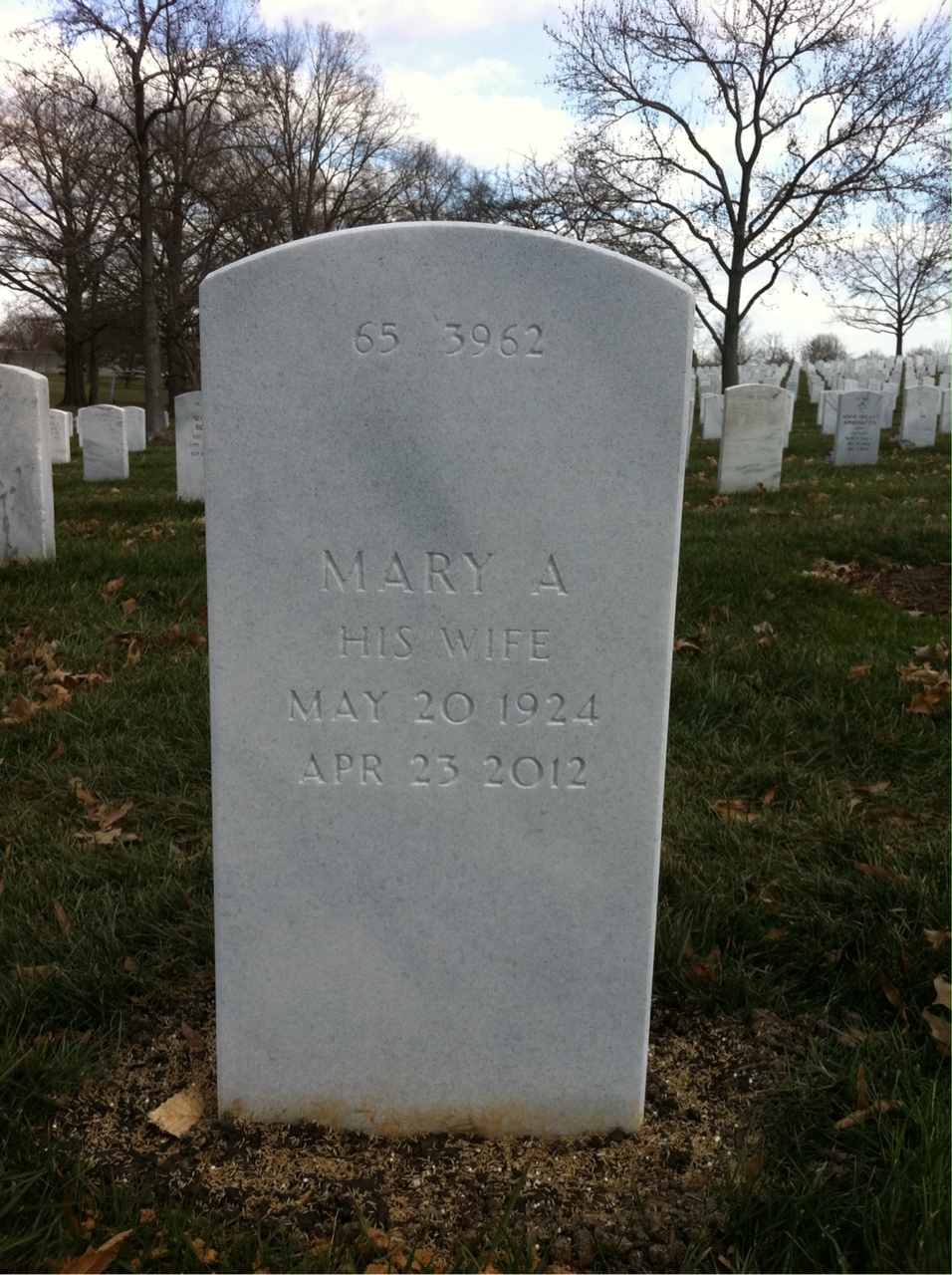 Back of headstone — Thomas Alfinito