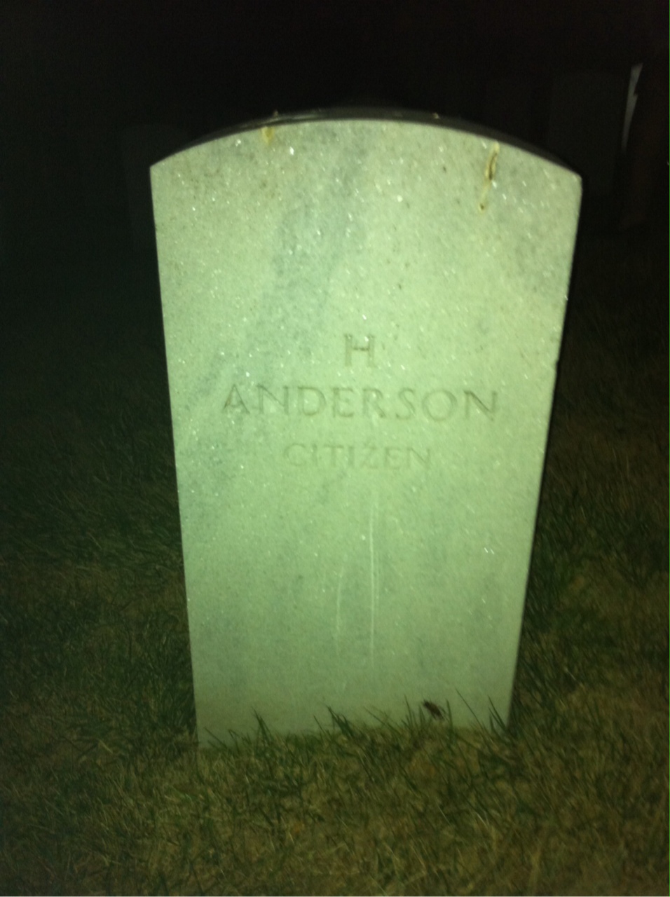 H Anderson