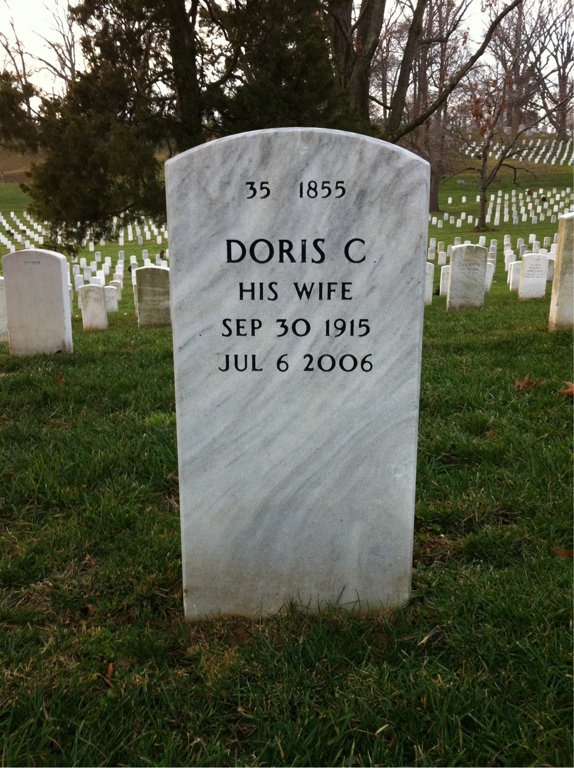 Back of headstone — Murray Austrian