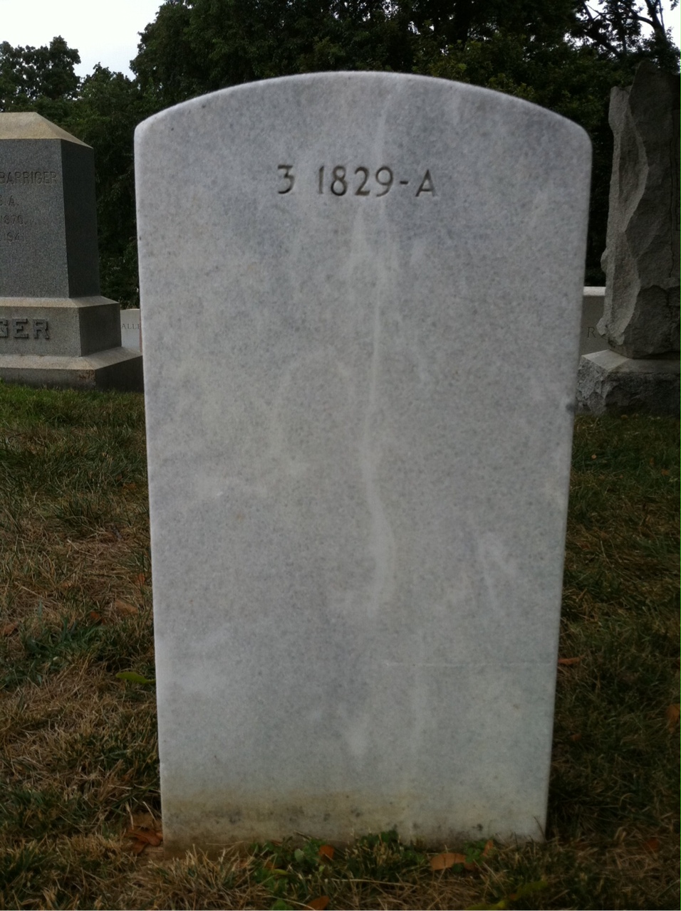 Back of headstone — Francis Braceland