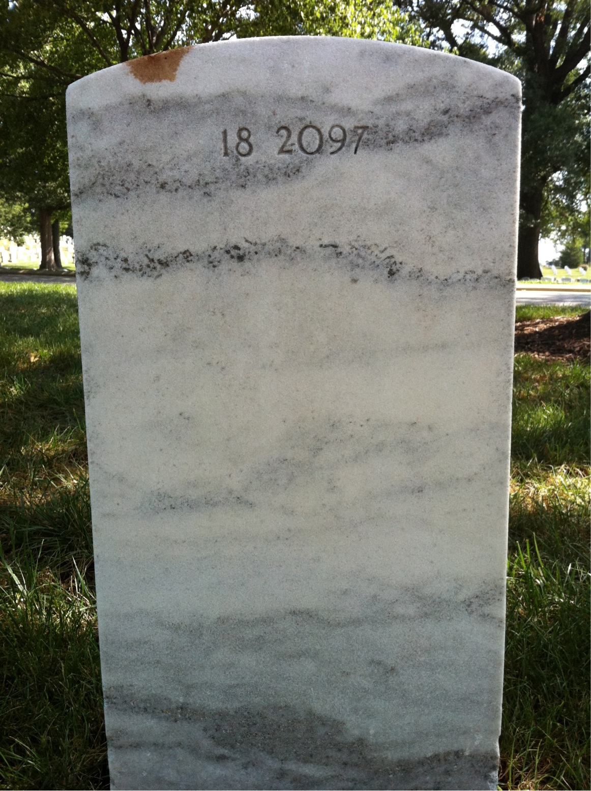 Back of headstone — Melville Augustus