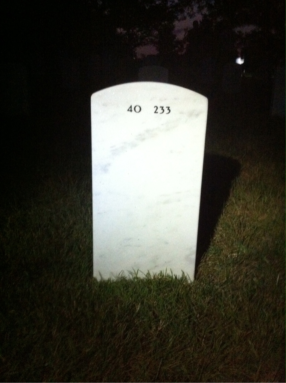 Back of headstone — Geraldine Carius