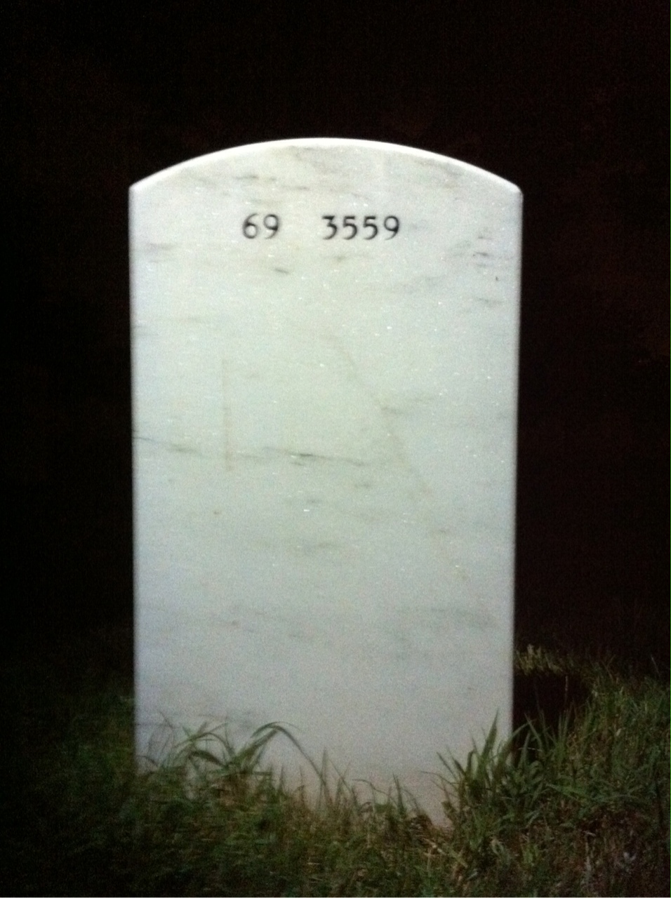 Back of headstone — Louis Dinkle