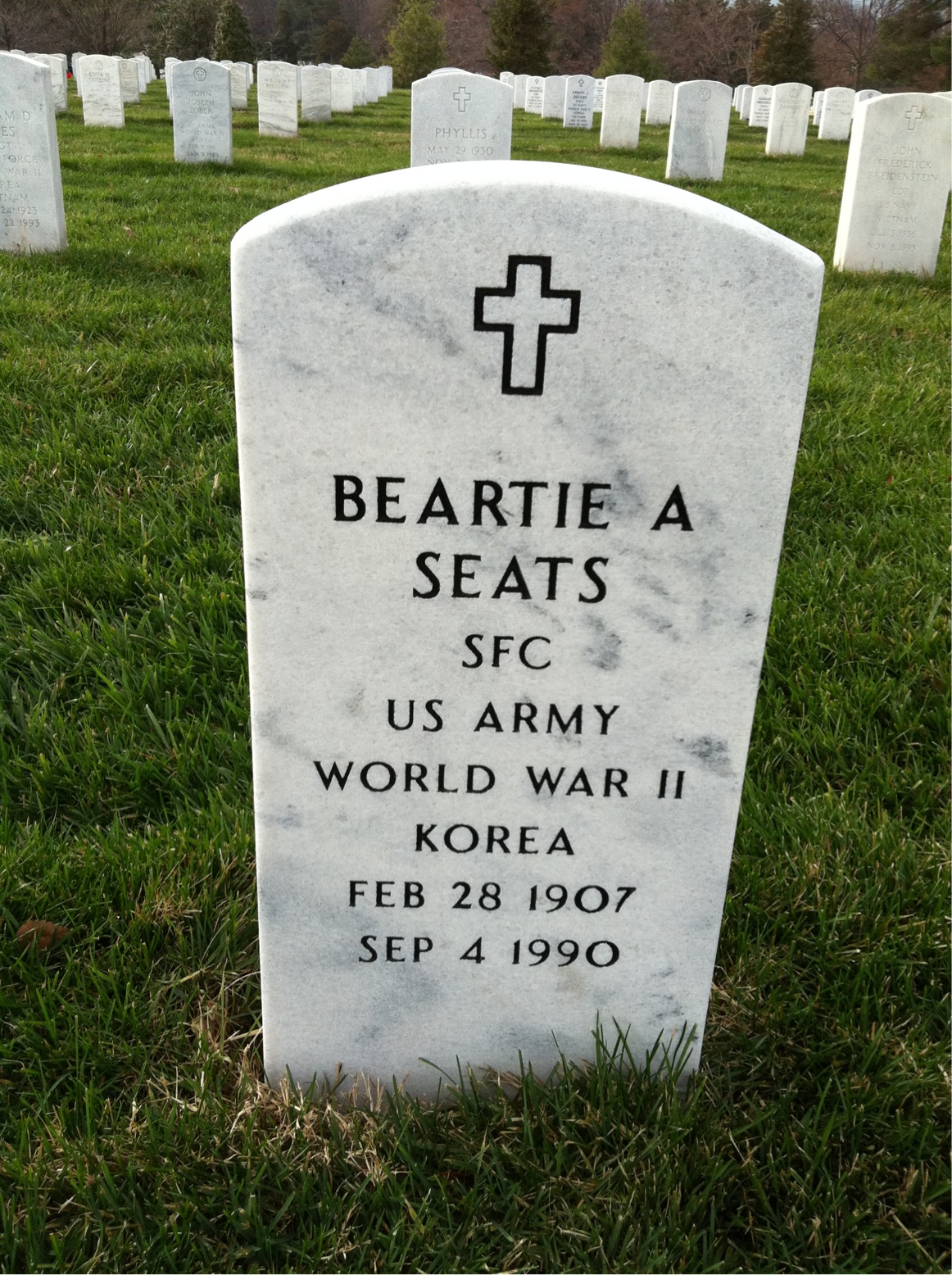 Beartie Seats