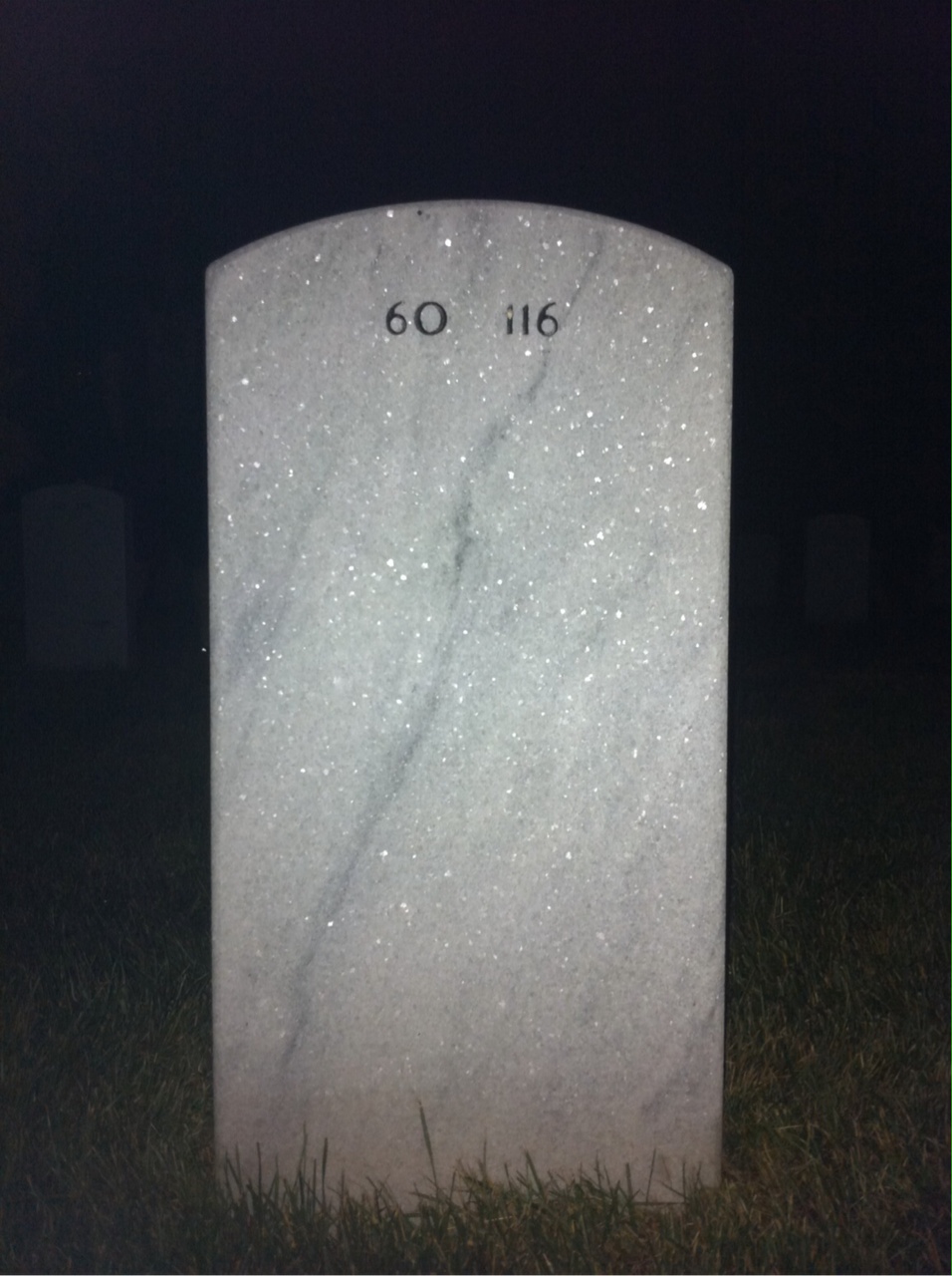 Back of headstone — Frank Zanin