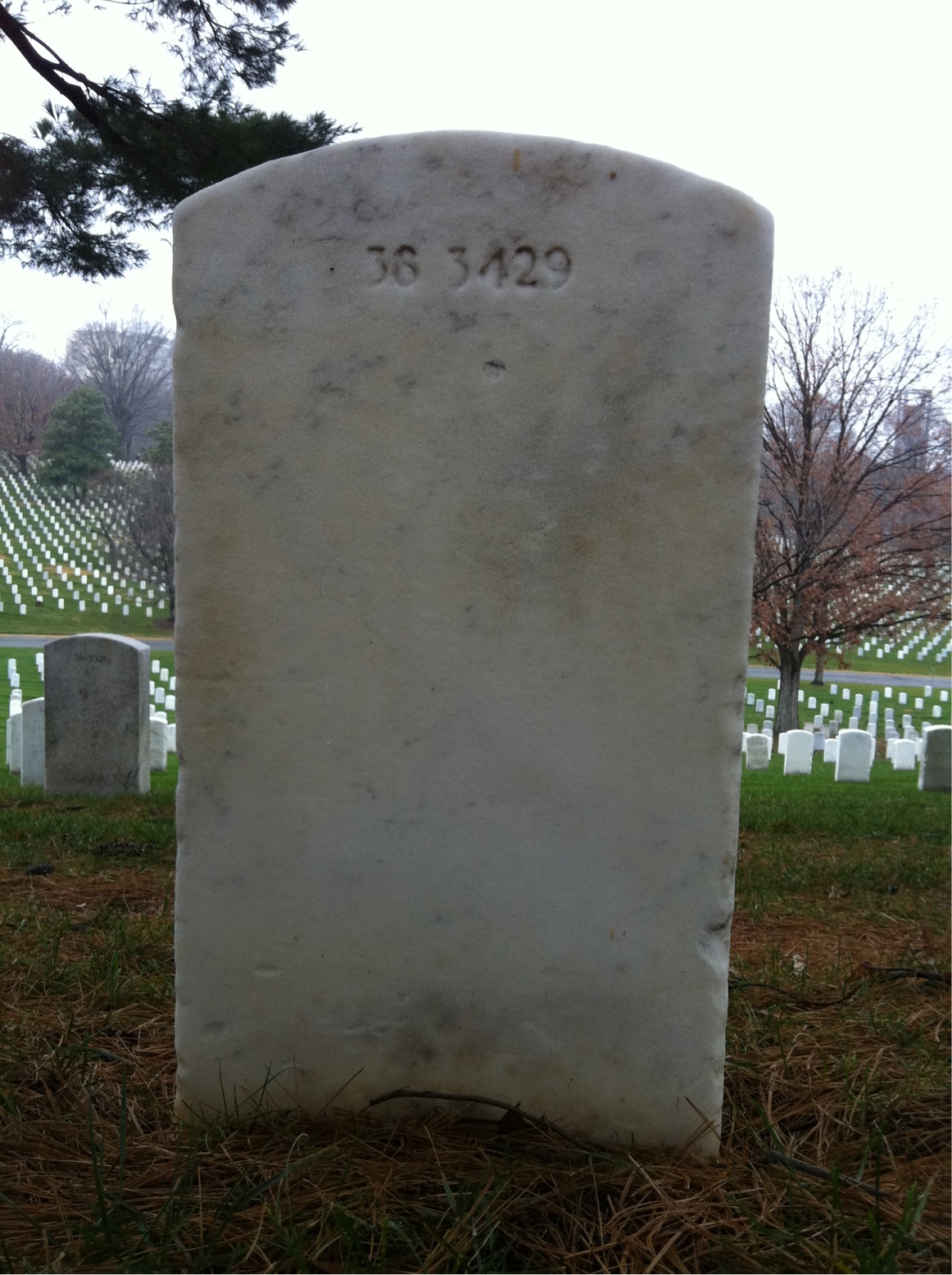 Back of headstone — Marion Mciver