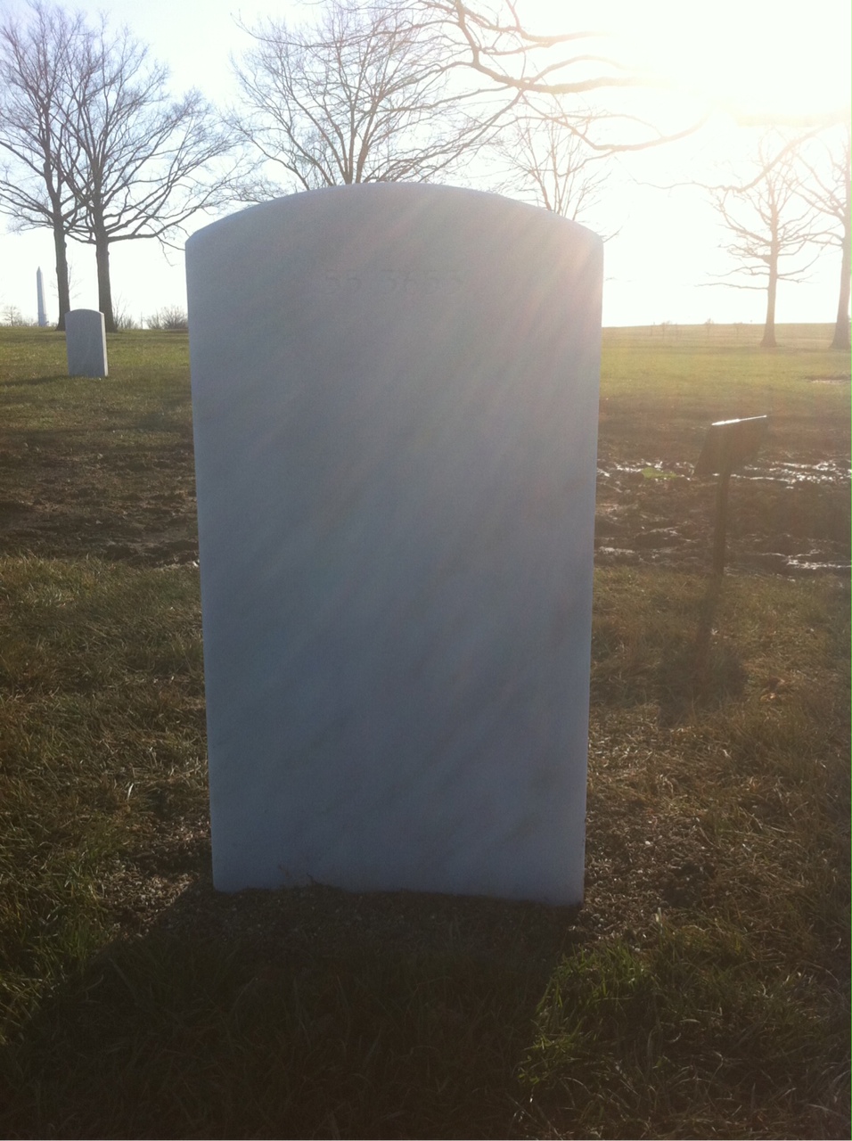 Back of headstone — Oliver Collins