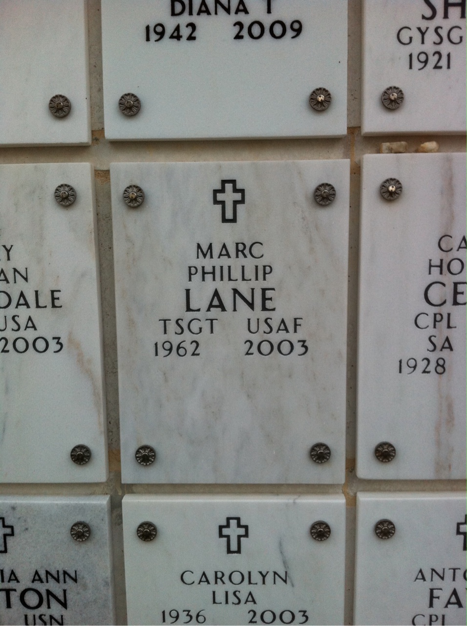 Marc P Lane