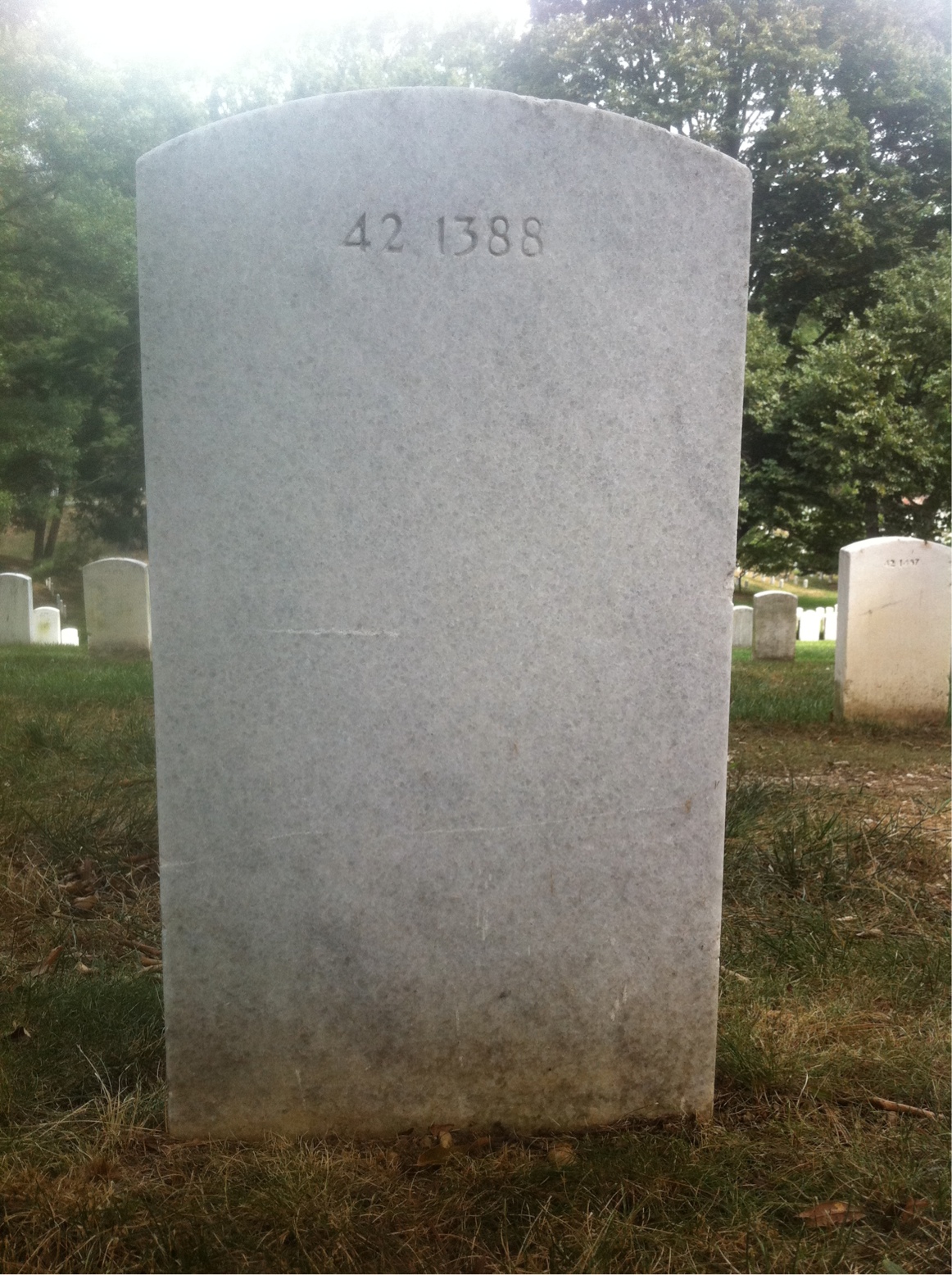 Back of headstone — Albert Mcnichol