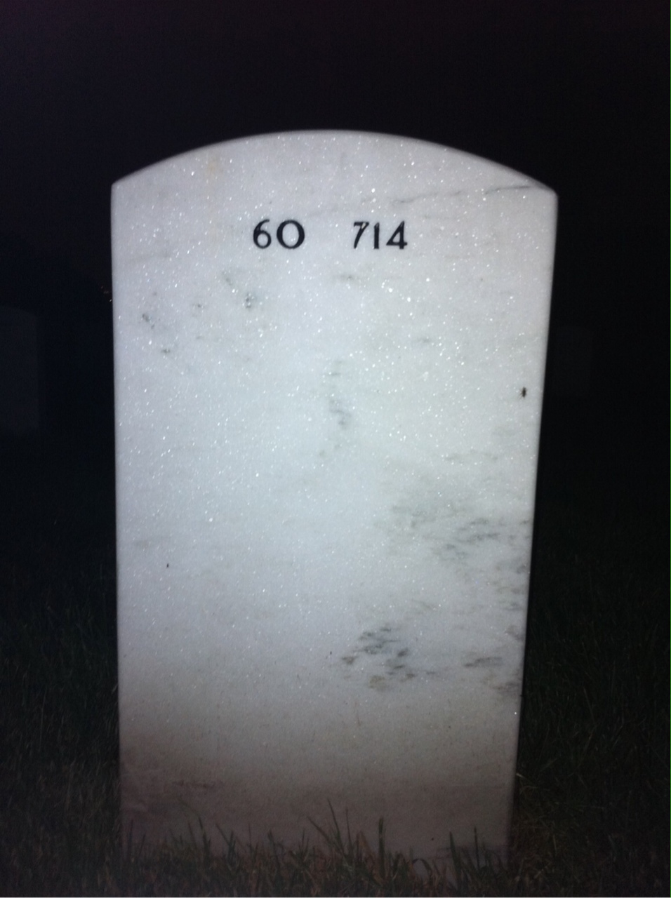 Back of headstone — Vincent Davis