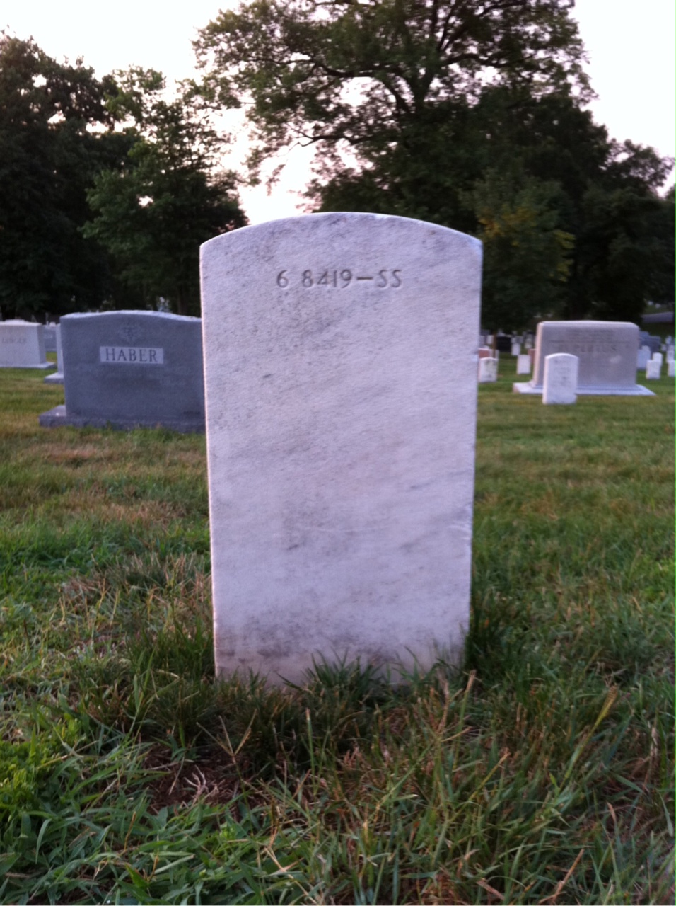Back of headstone — Thalbert Alford