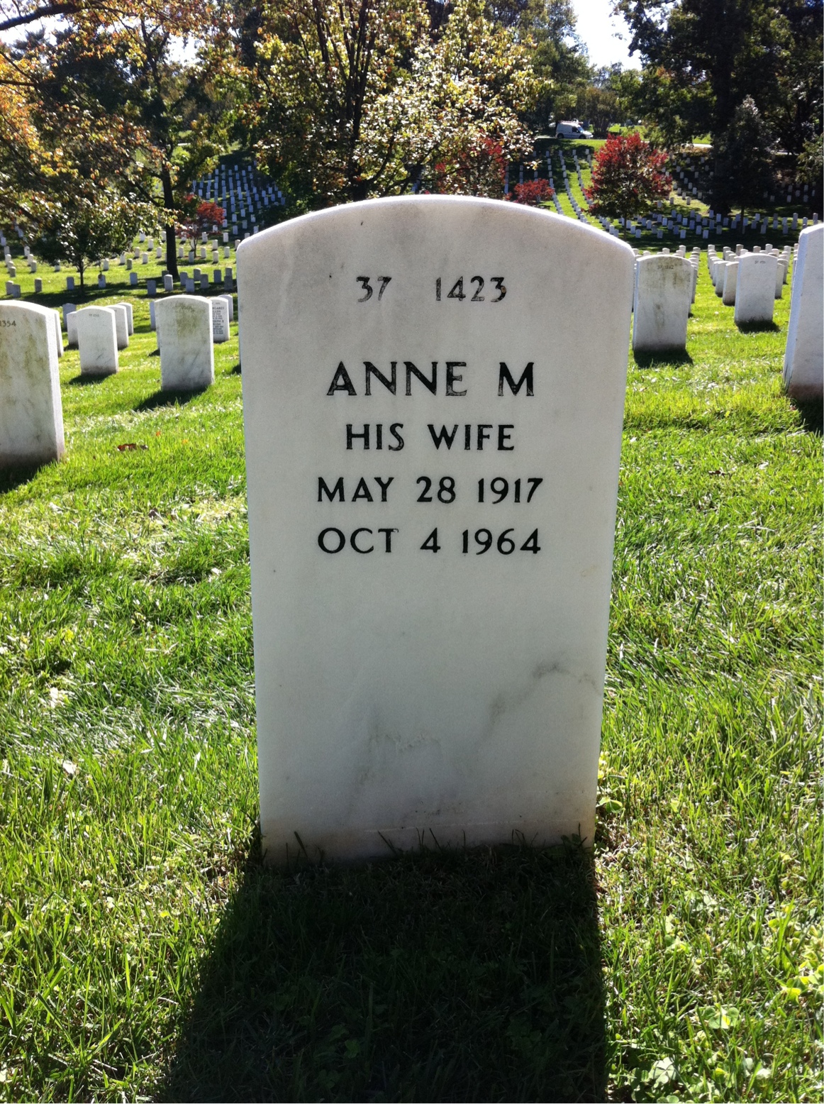 Back of headstone — Adam Nekrasz