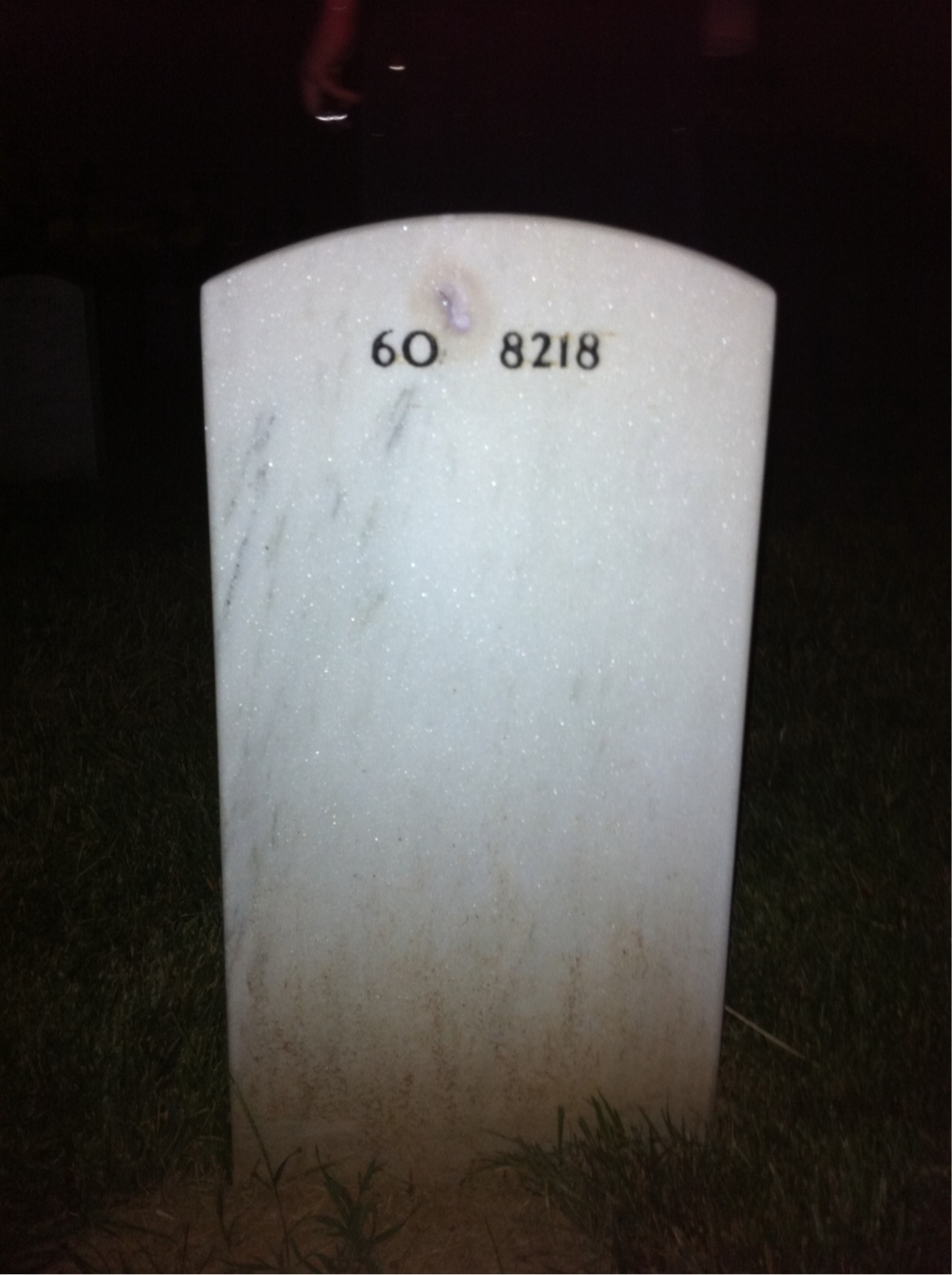 Back of headstone — Gregory Fester