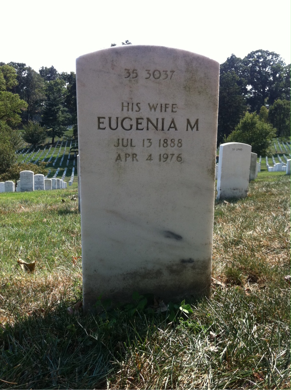 Back of headstone — Walter Morse