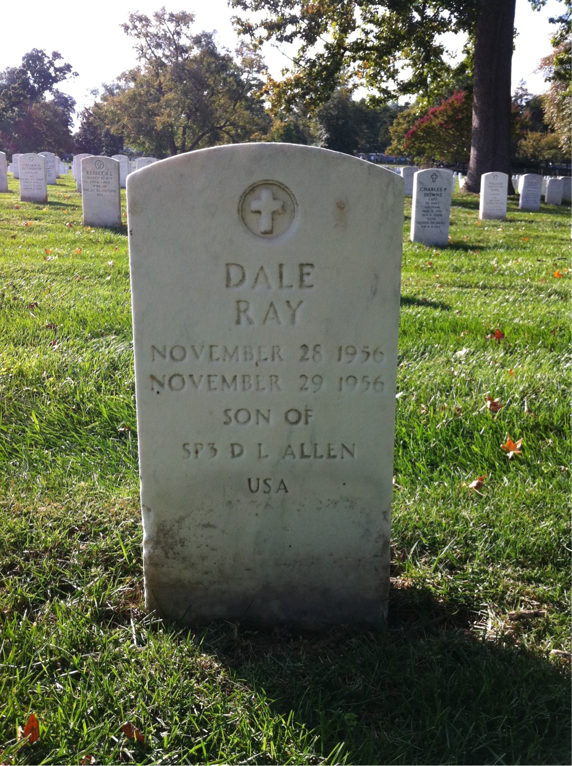 Dale Allen
