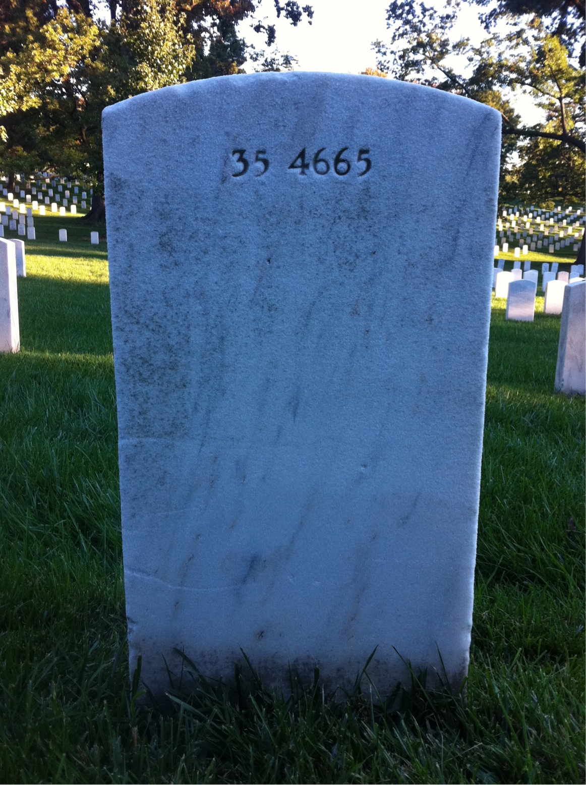 Back of headstone — Herman Morgan