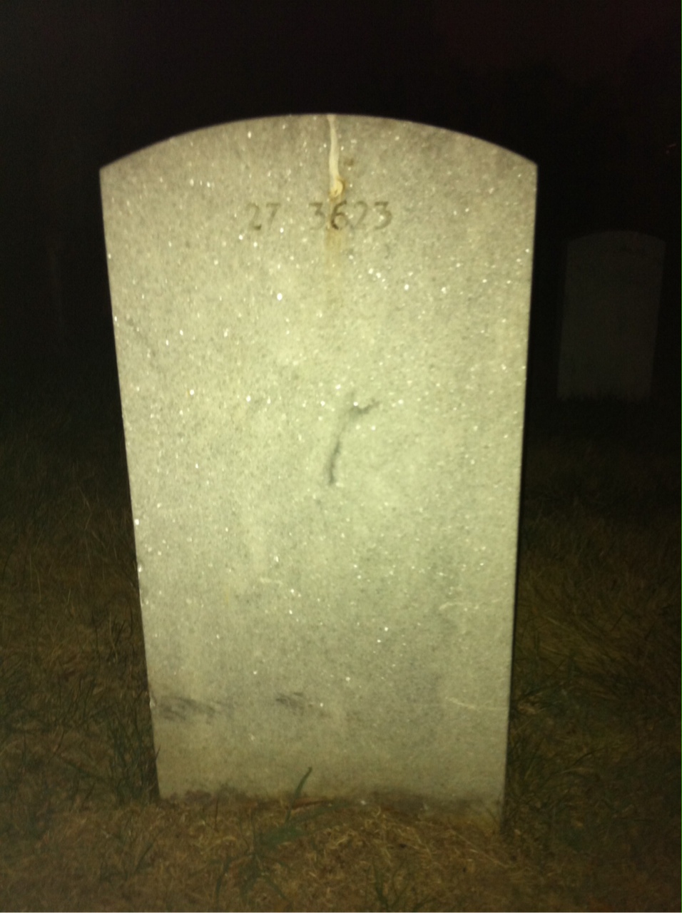 Back of headstone — Lewis Anderson
