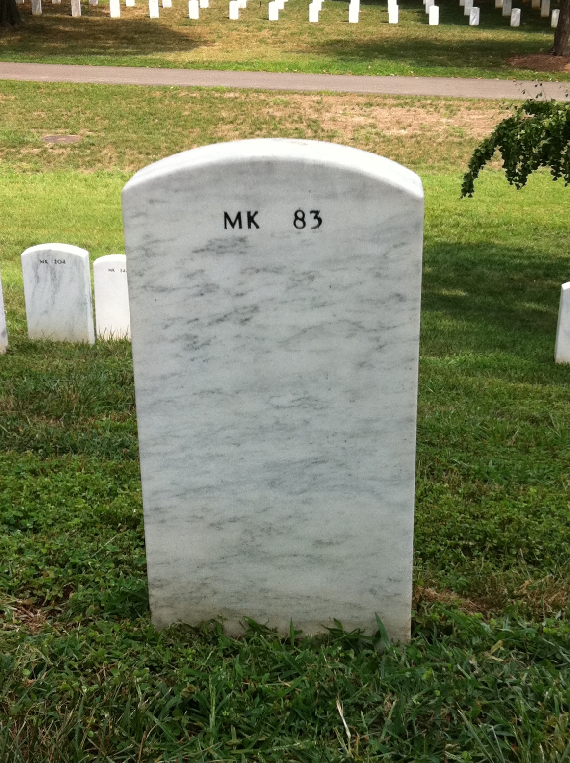 Back of headstone — James Ray