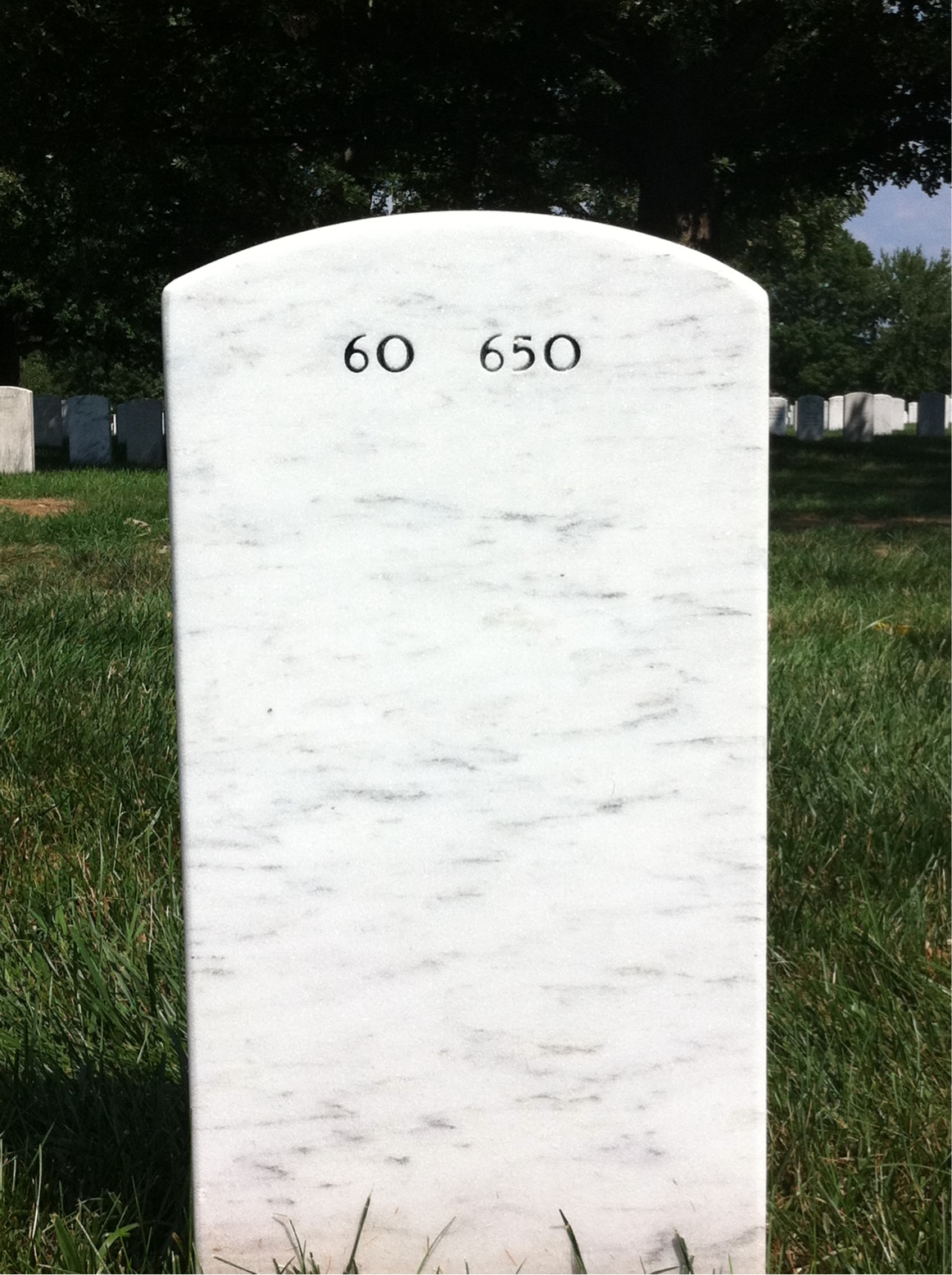 Back of headstone — Roman Biliunas
