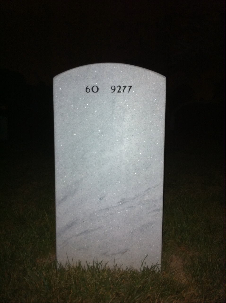 Back of headstone — Troy L Littlejohn