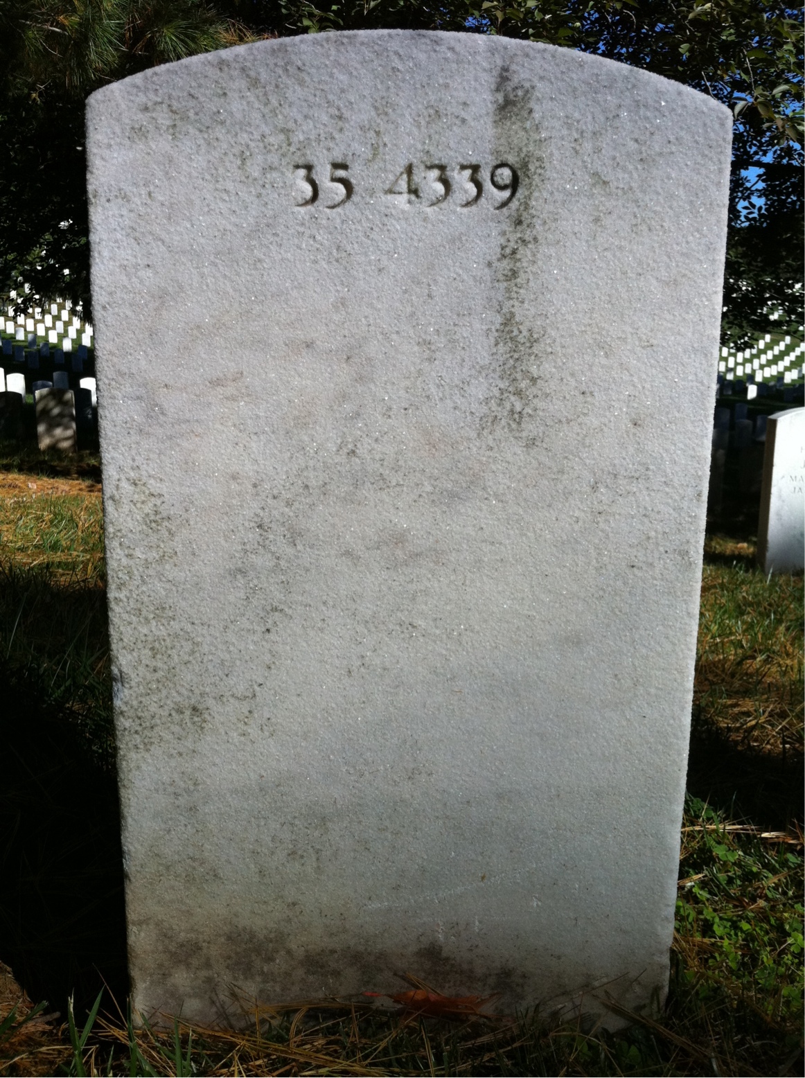 Back of headstone — Leslie Alexander