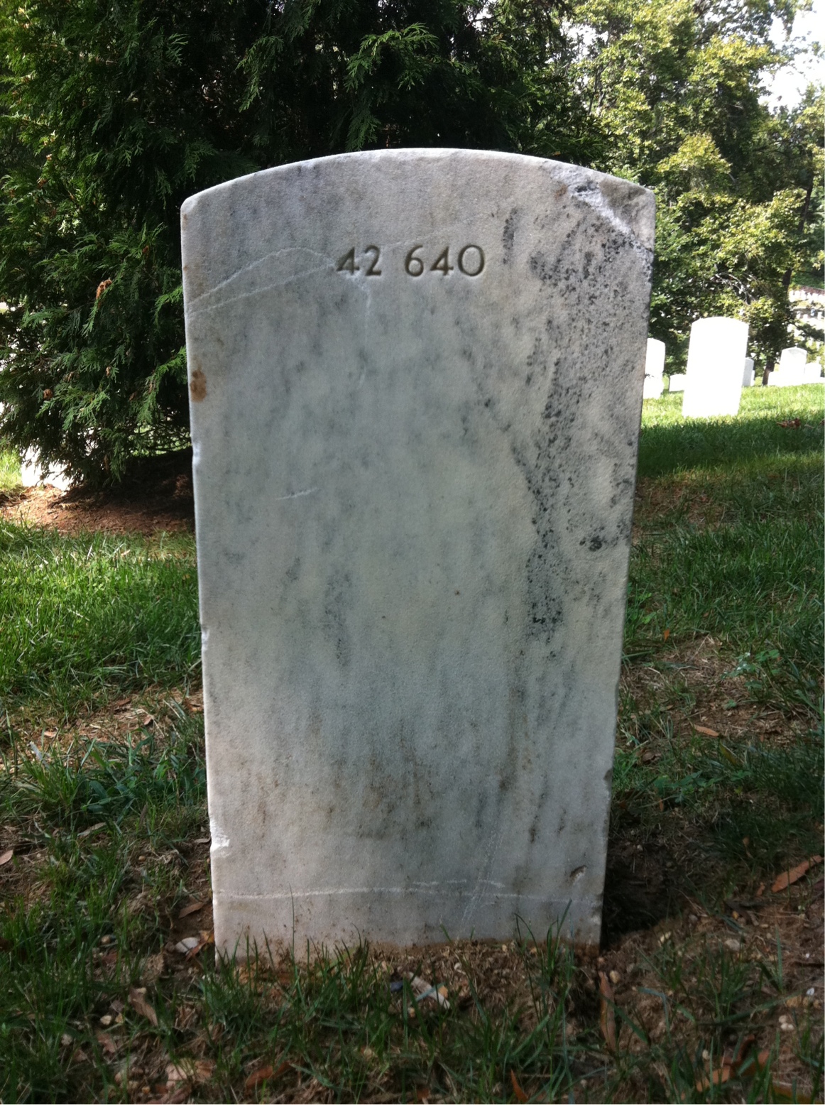 Back of headstone — Mary Anickus