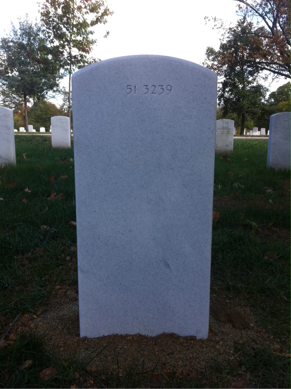 Back of headstone — Wayne Tyler Prescott