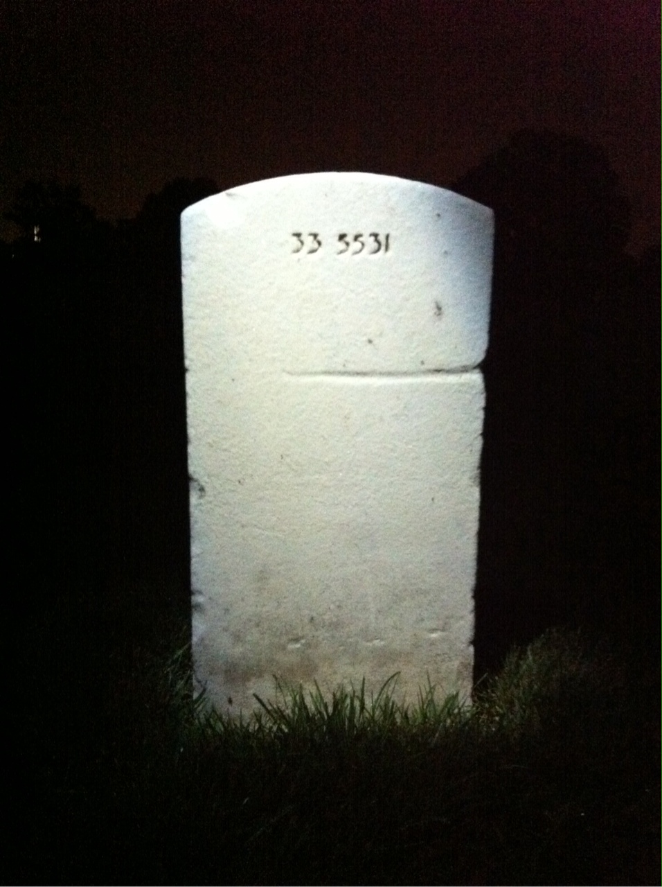 Back of headstone — Wonderful Anthony