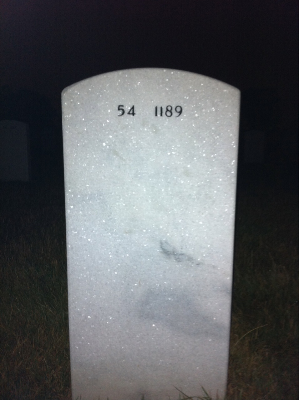 Back of headstone — Raymond Spiegel