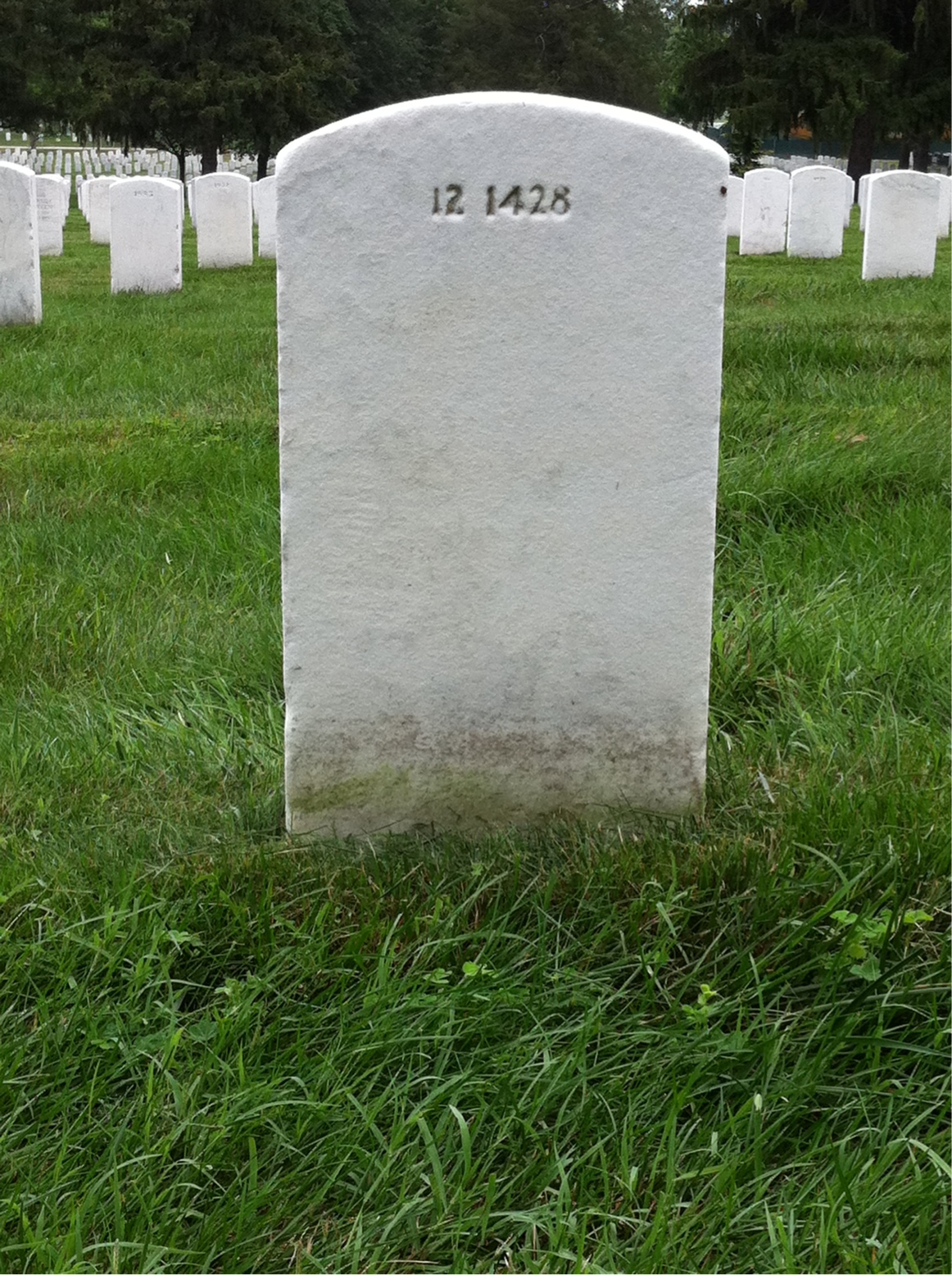 Back of headstone — Earle Mountain