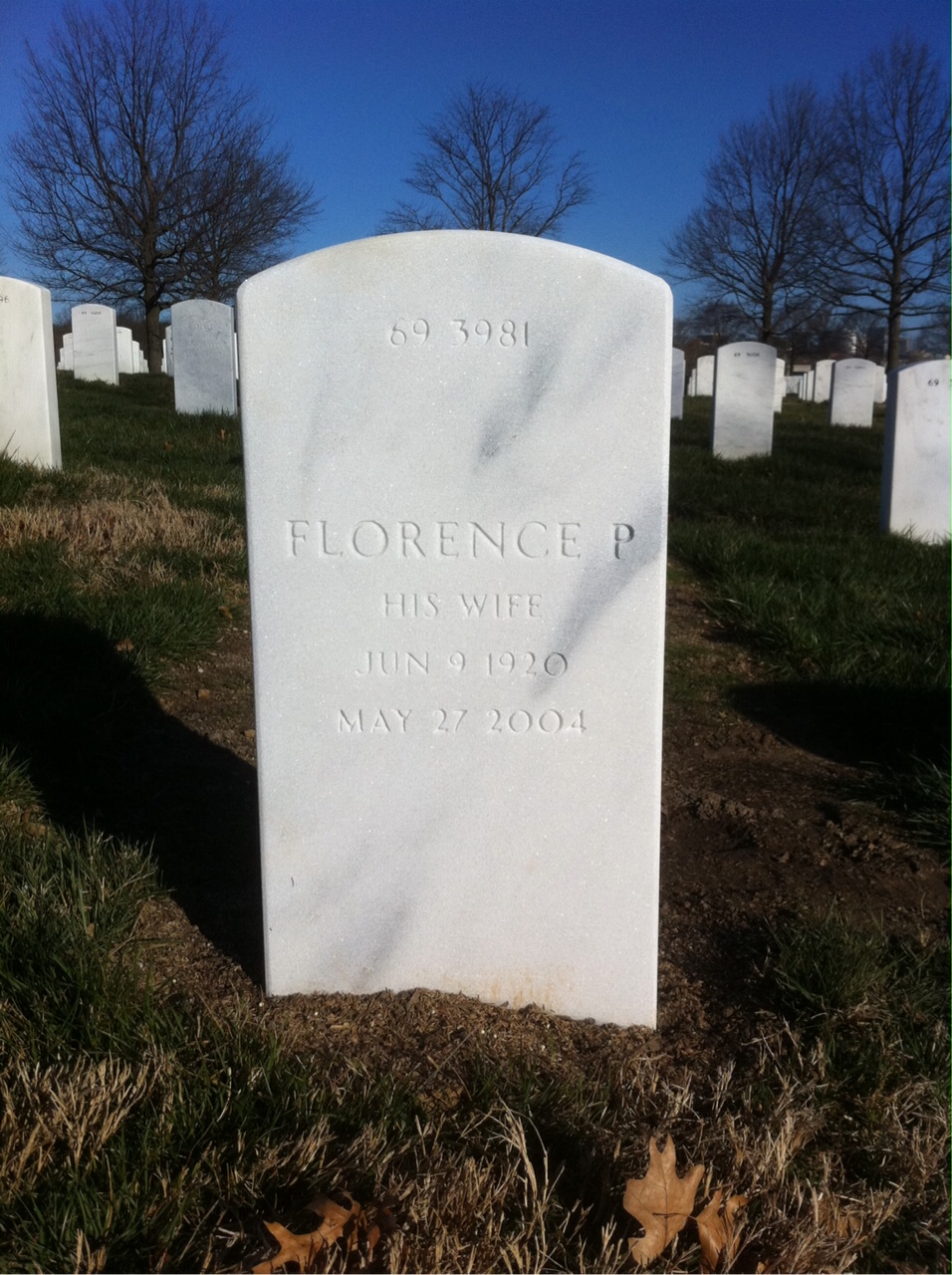 Back of headstone — Archie Fox