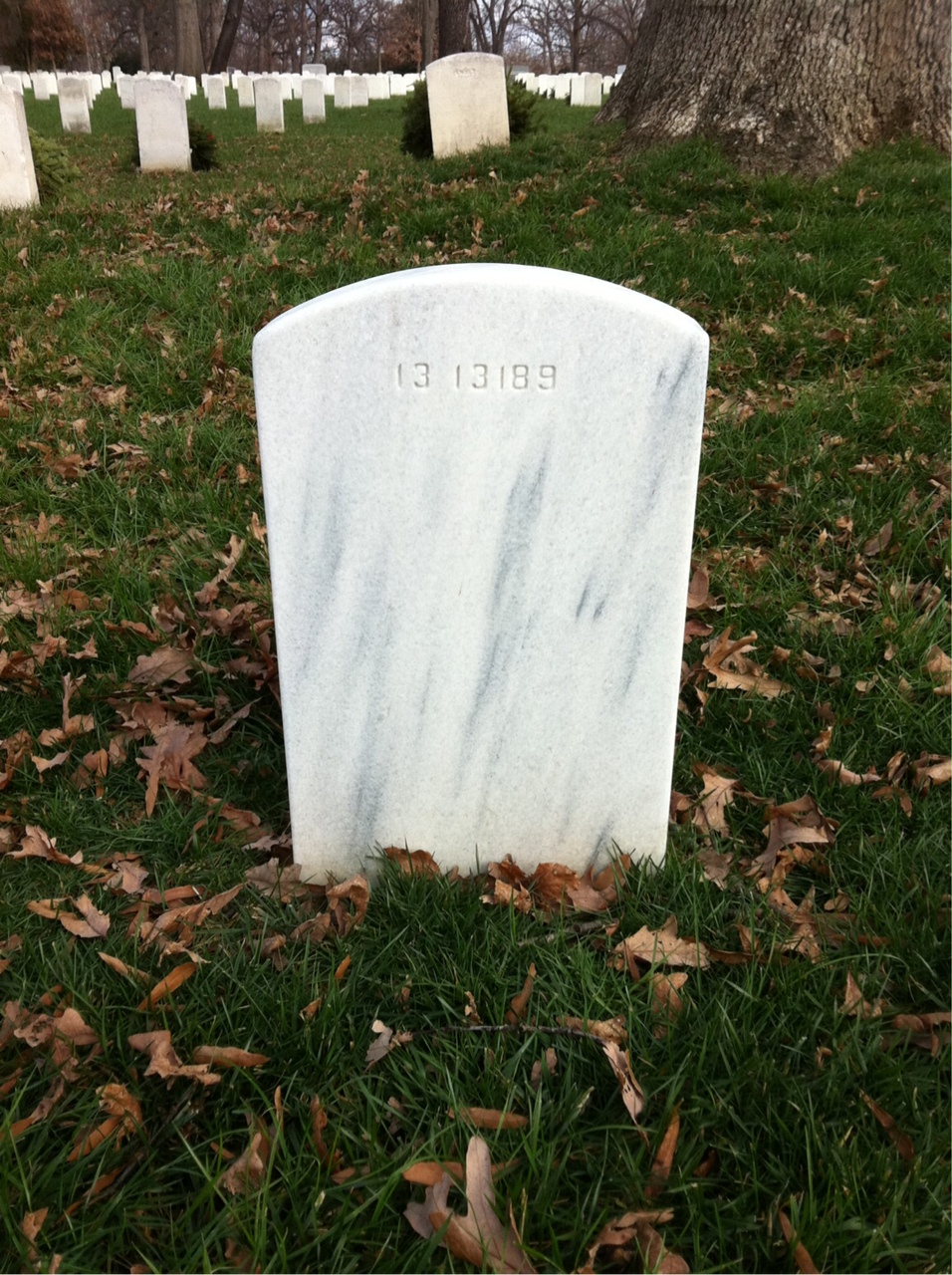 Back of headstone — Alonzo Ames
