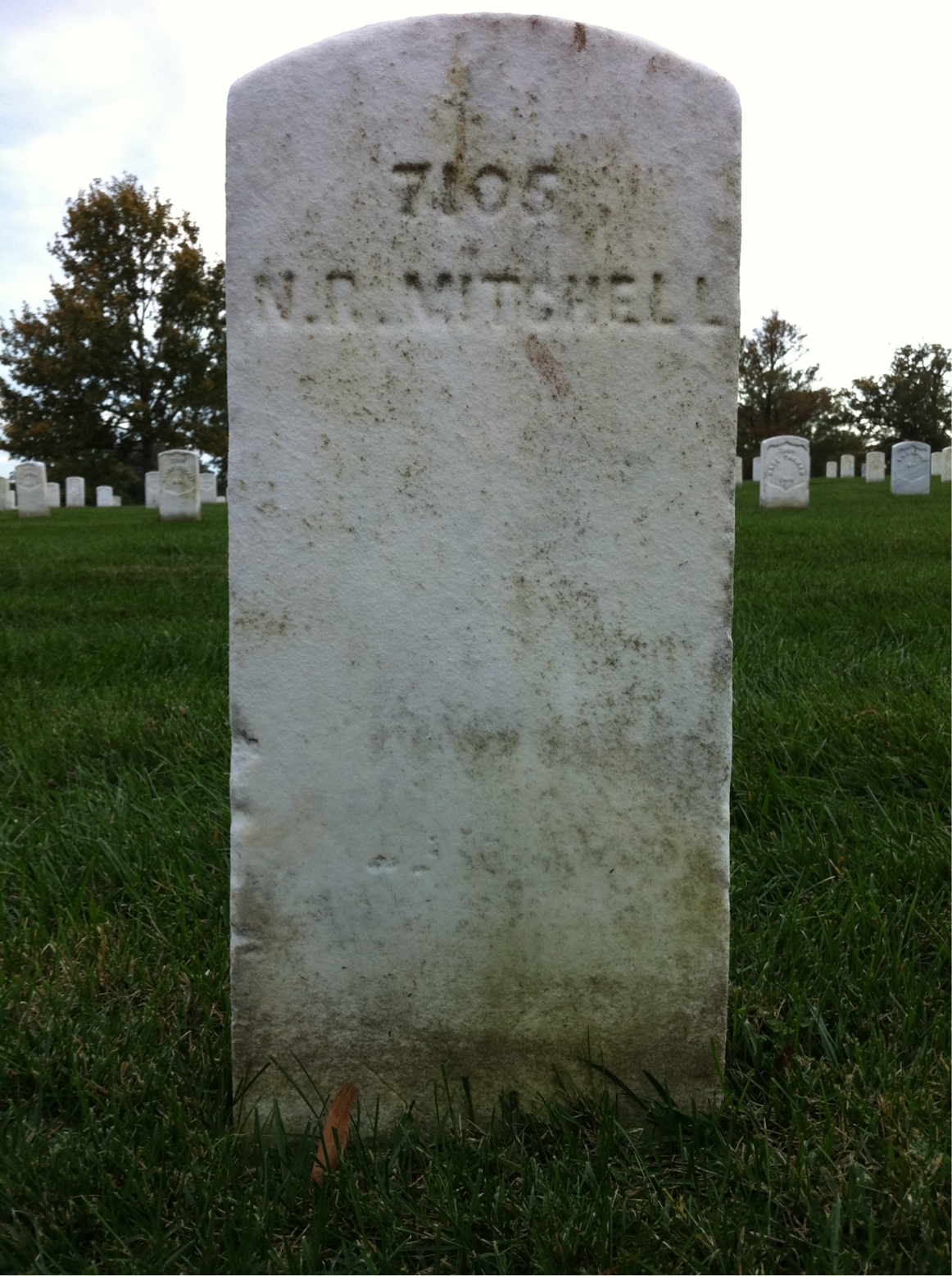 N Mitchell