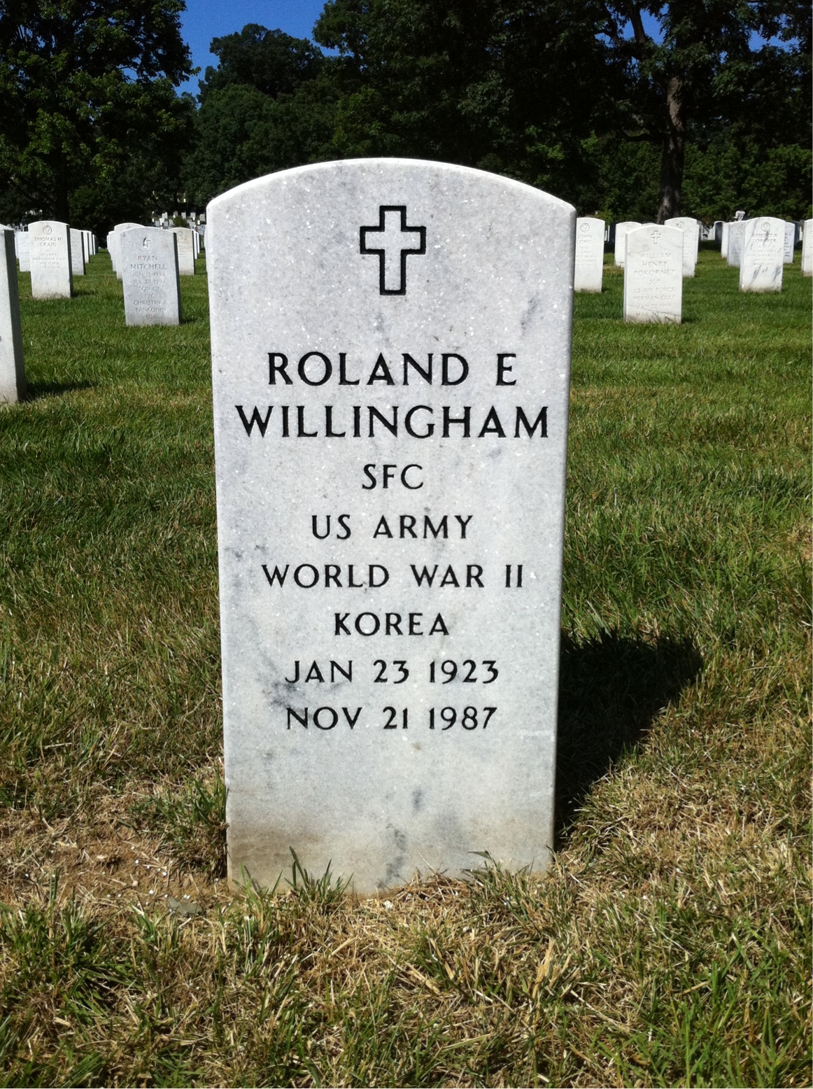 Mary Willingham