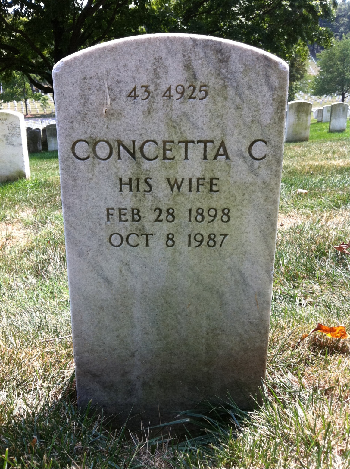 Back of headstone — Thomas Alongi