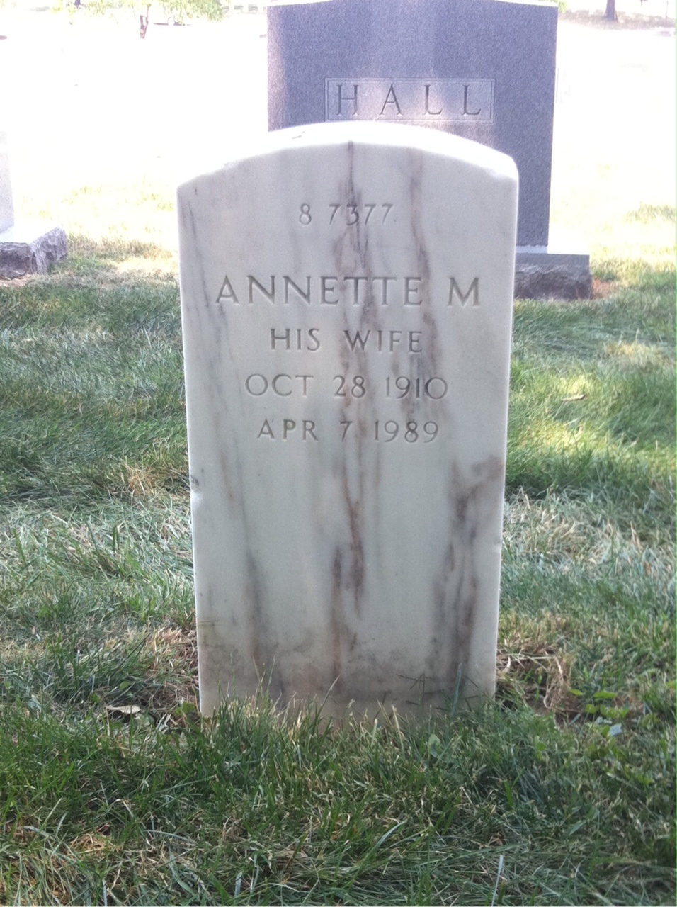 Back of headstone — John Mcintyre