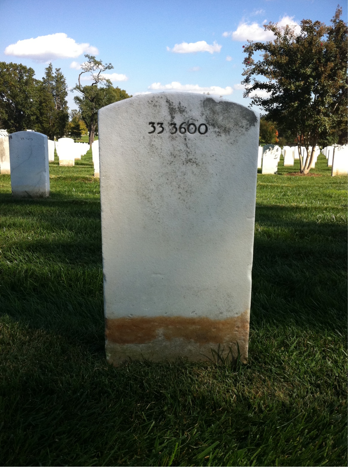 Back of headstone — Walter Bennett