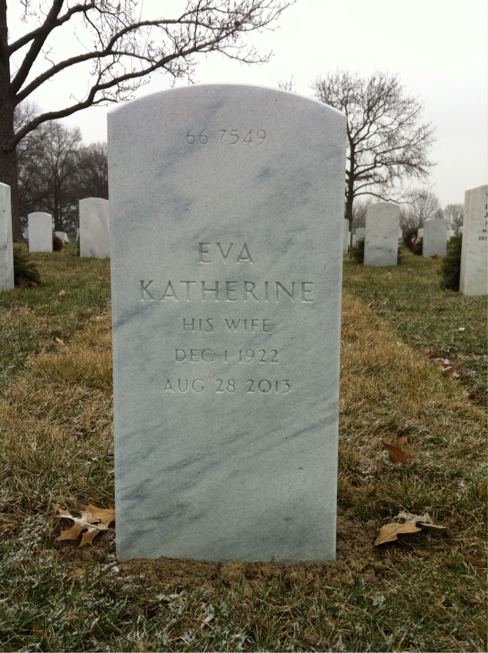 Back of headstone — James Reed