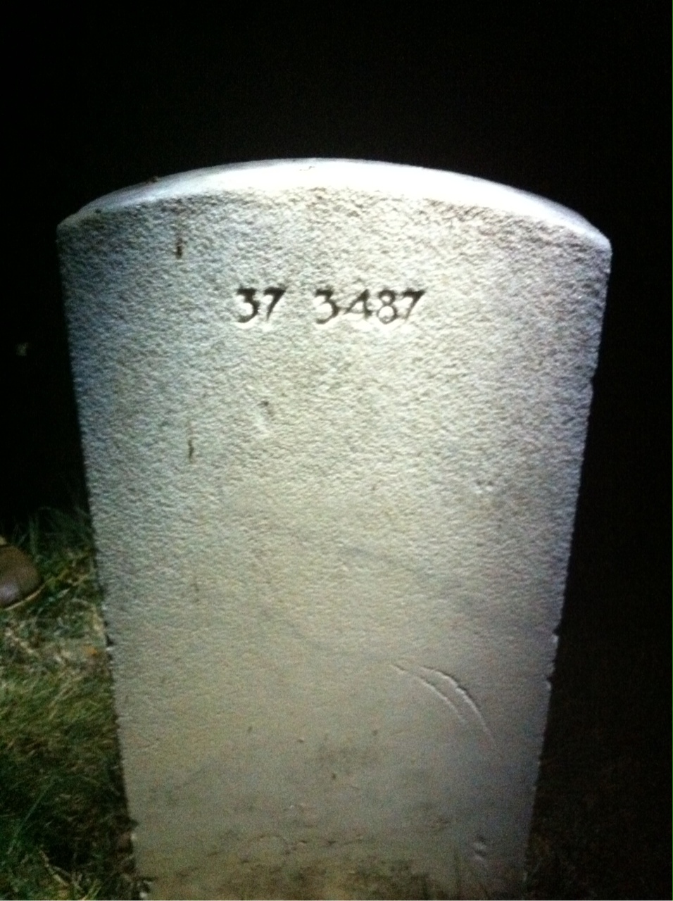 Back of headstone — Frank Bagley