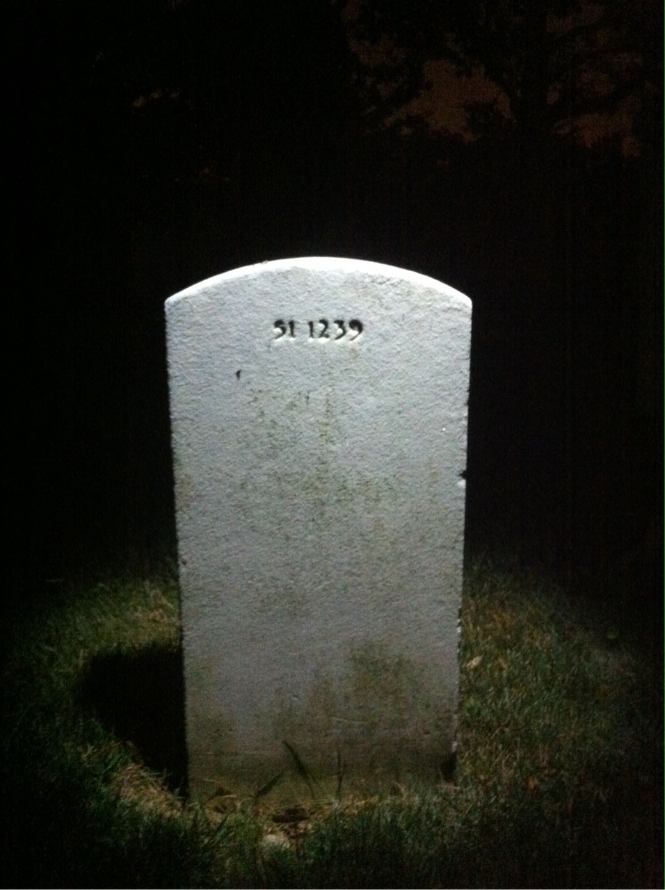 Back of headstone — James Mcneice