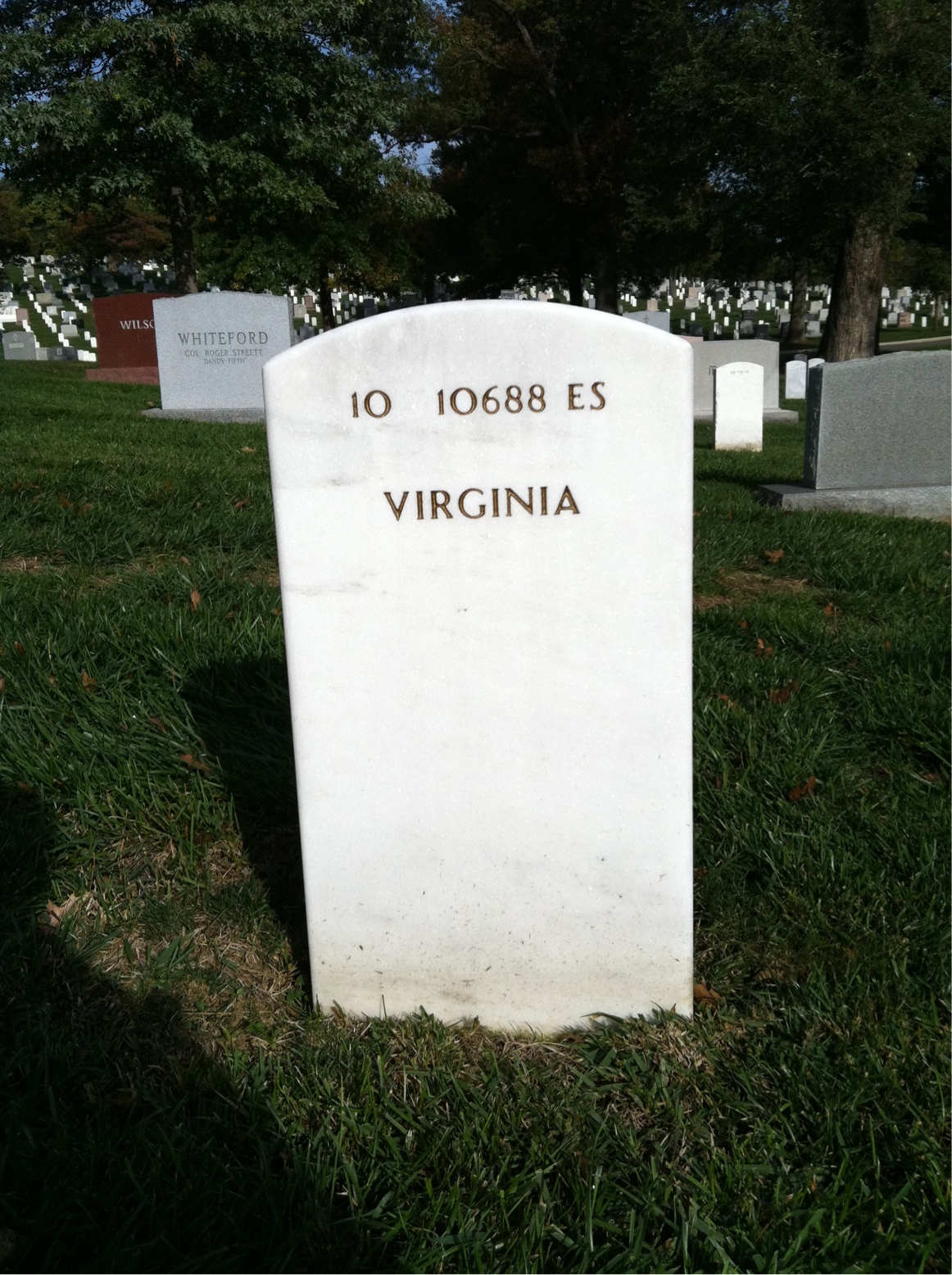 Headstone of William S. Shacklette
