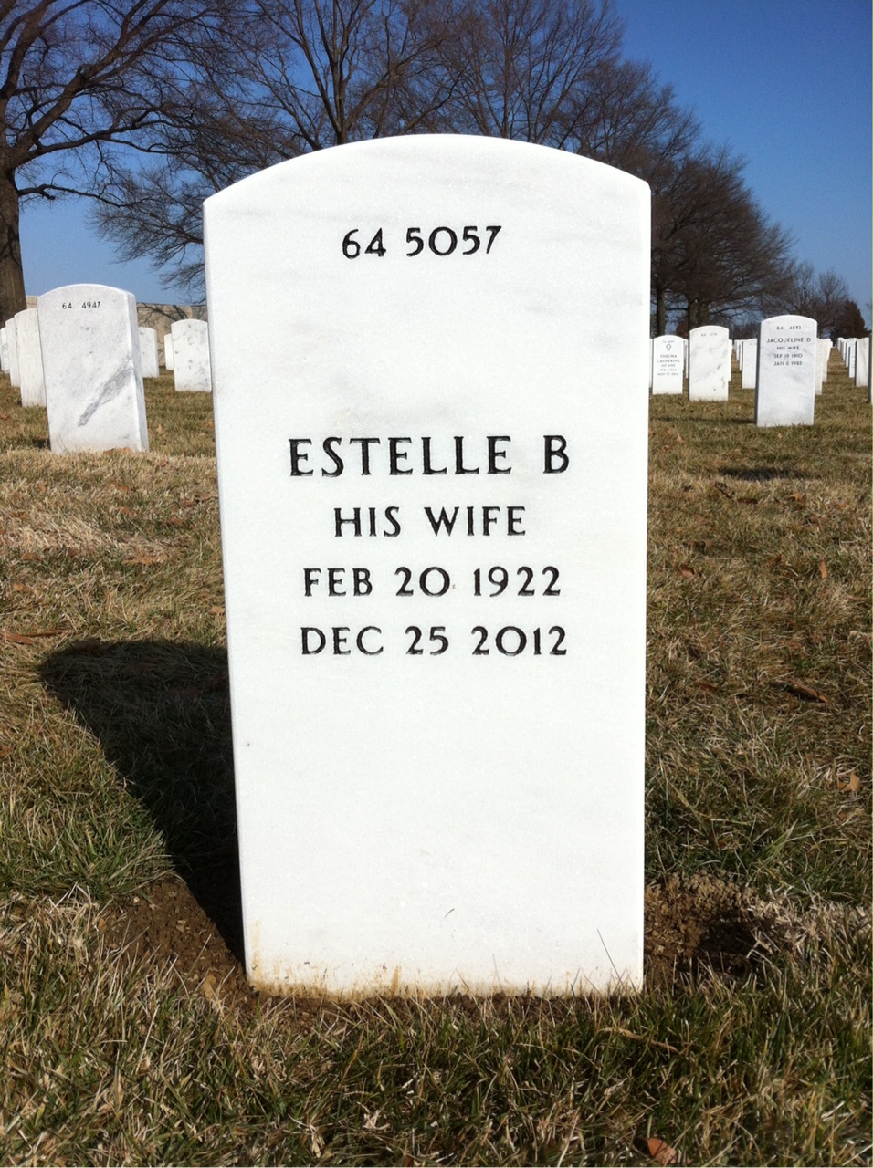 Back of headstone — Irvin Schloss