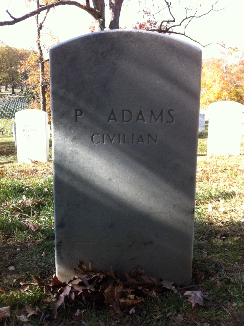 P Adams