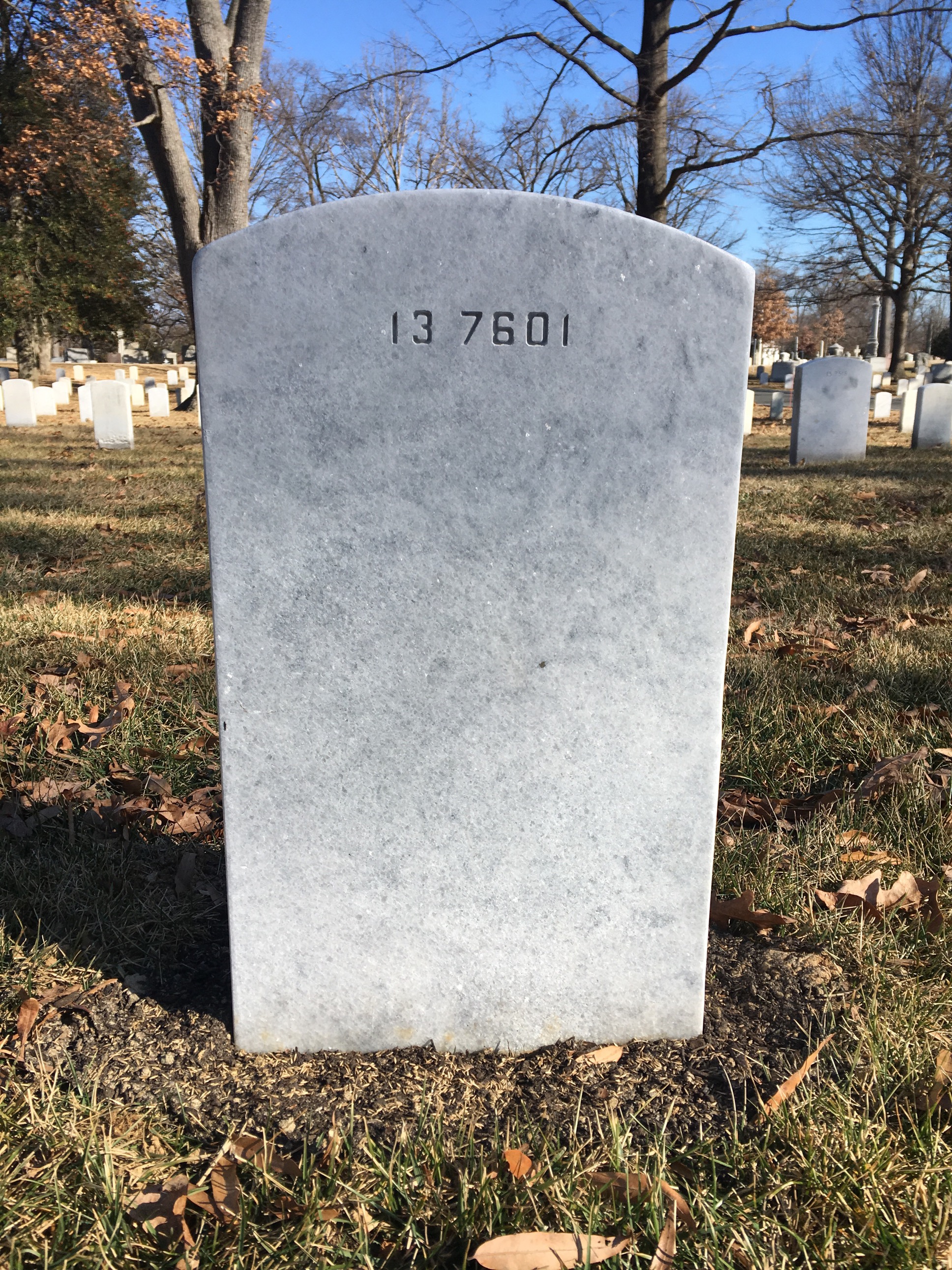 Back of headstone — Jerome Albro