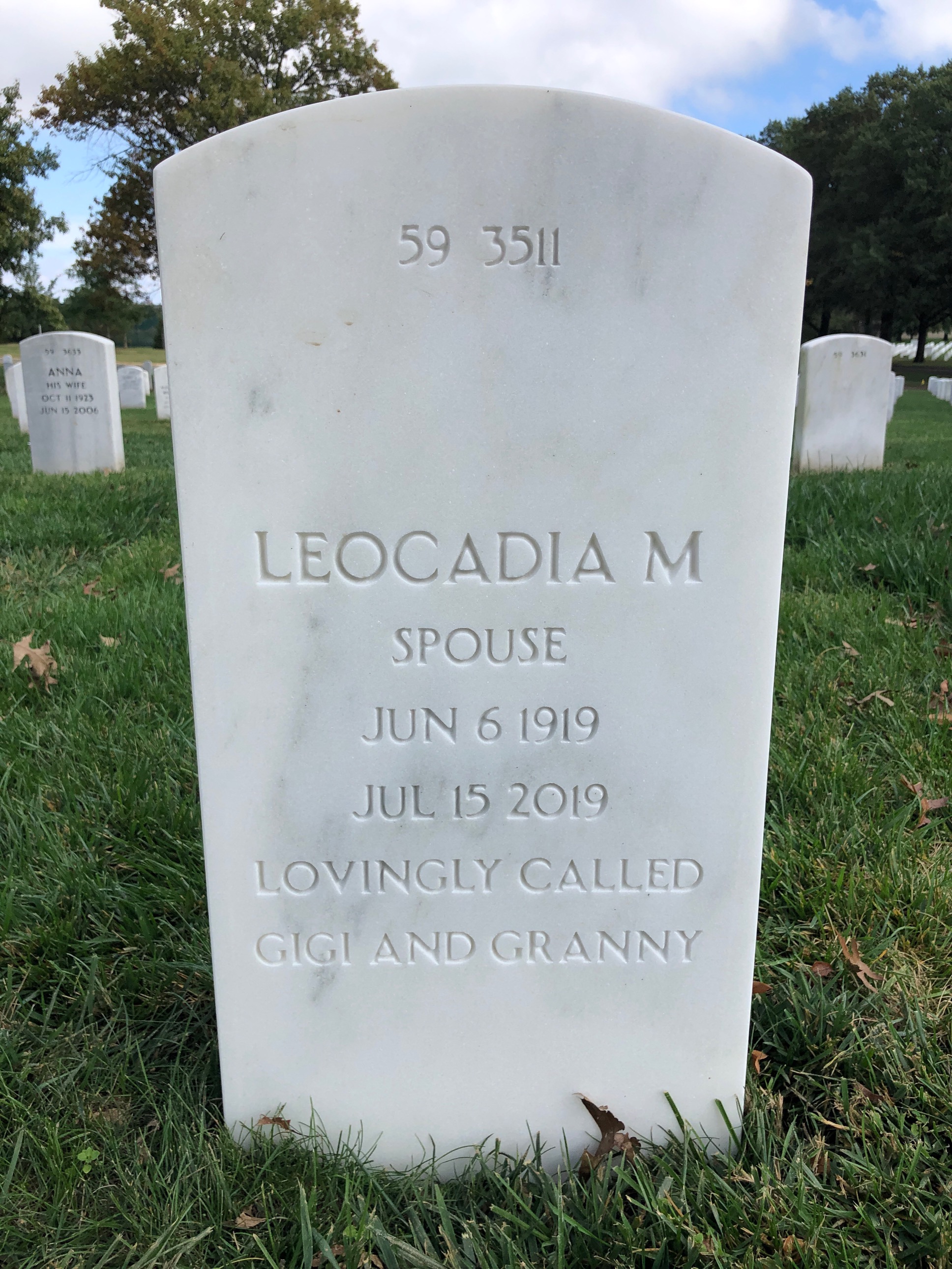 Back of headstone — Weldon Johnson