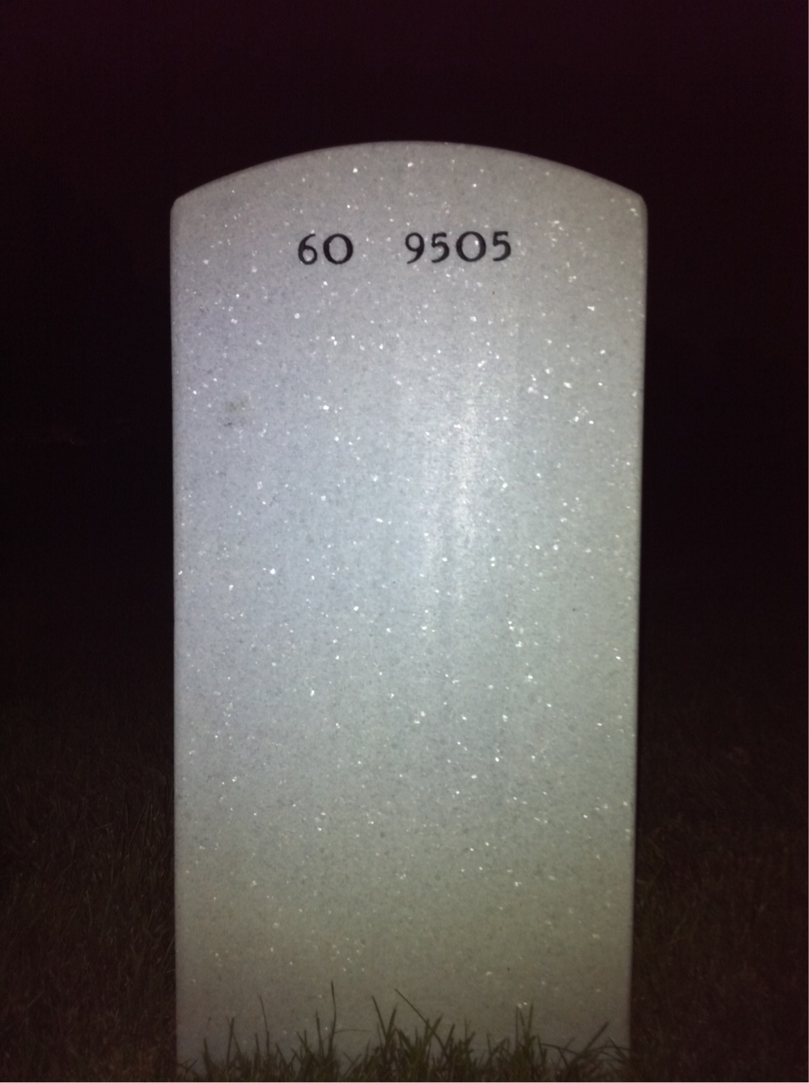 Back of headstone — William E Cortez