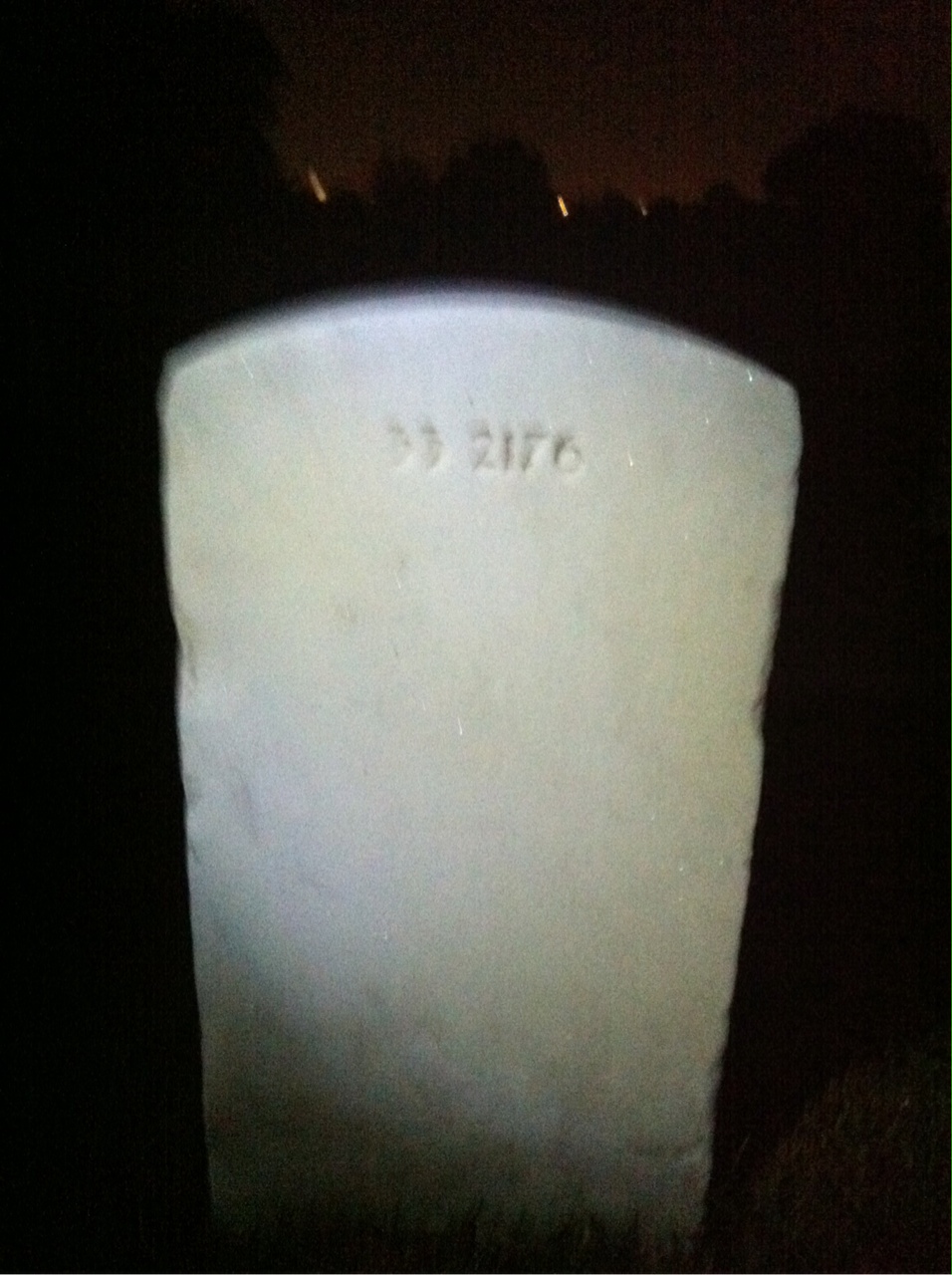 Back of headstone — William H Johnson